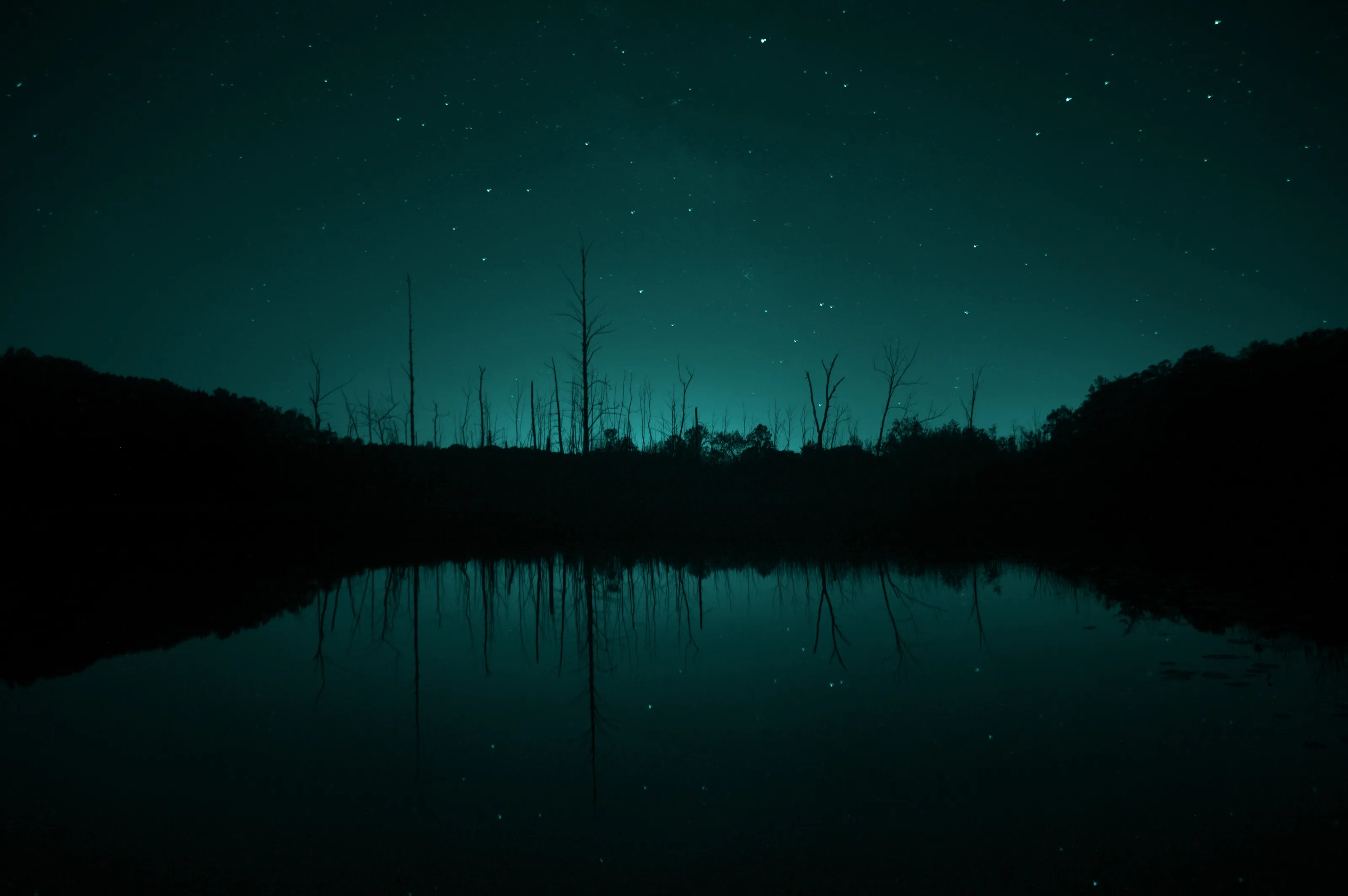 Starry Reflection