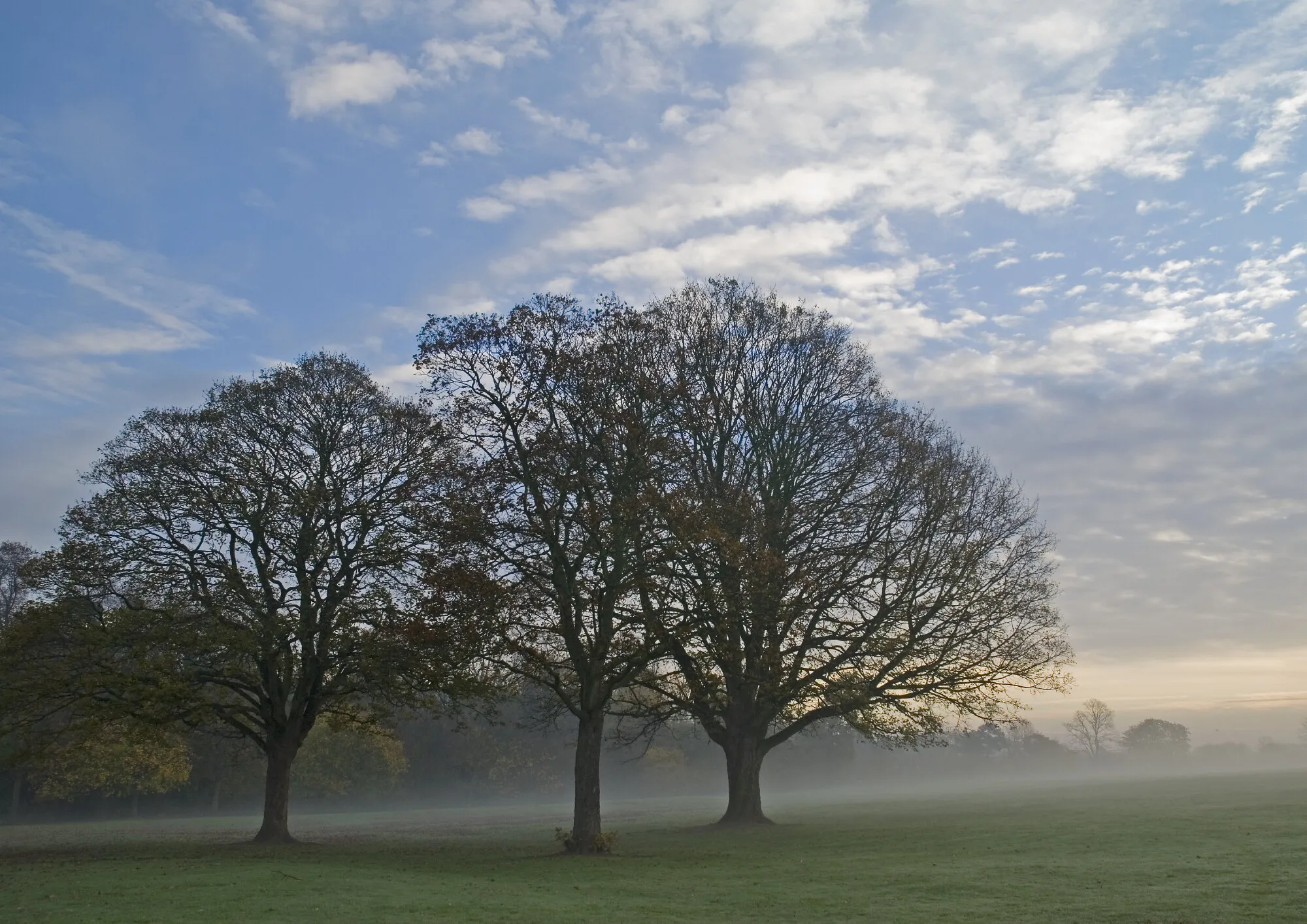 Misty November morning