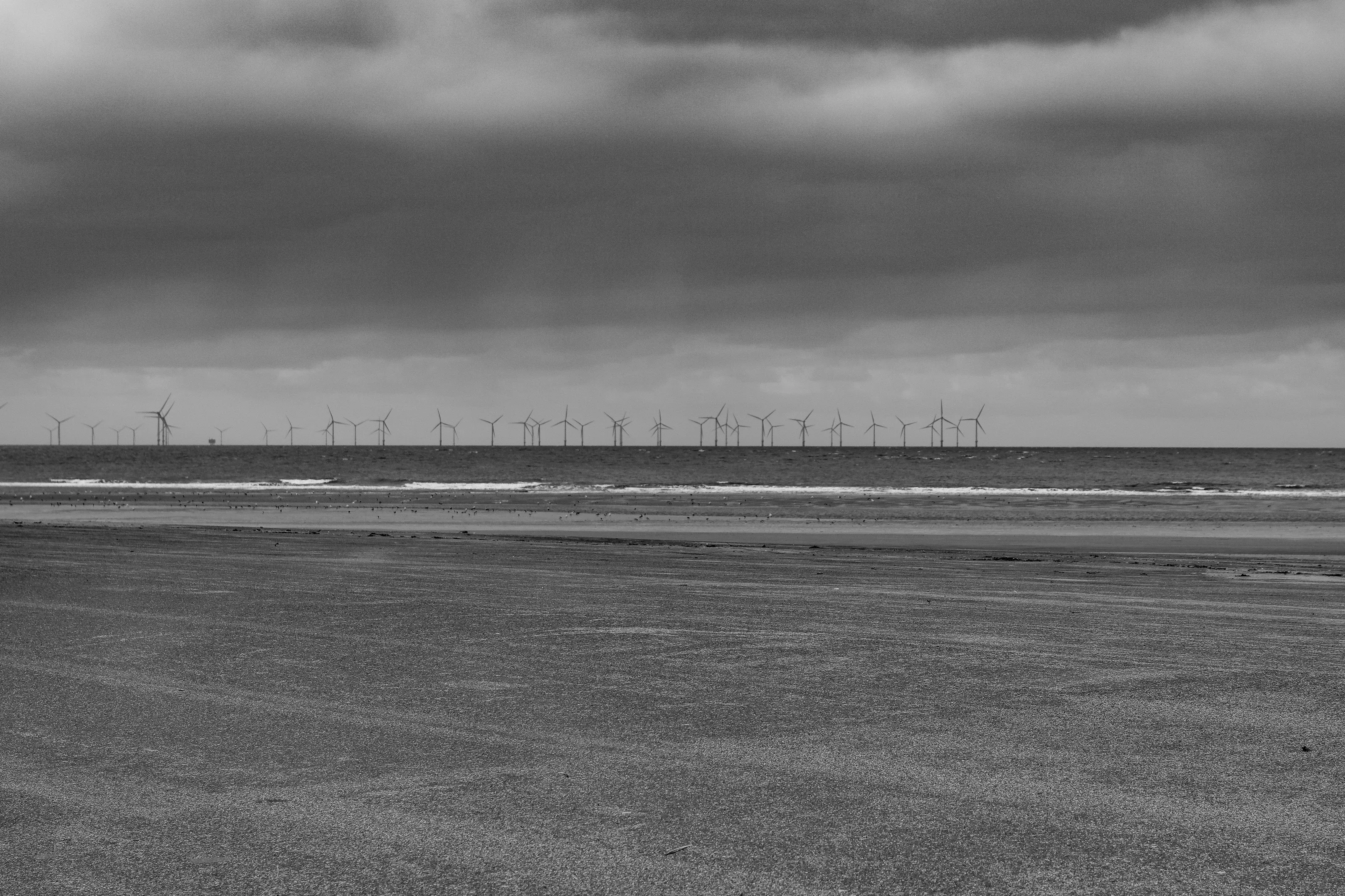 Harness the Wind