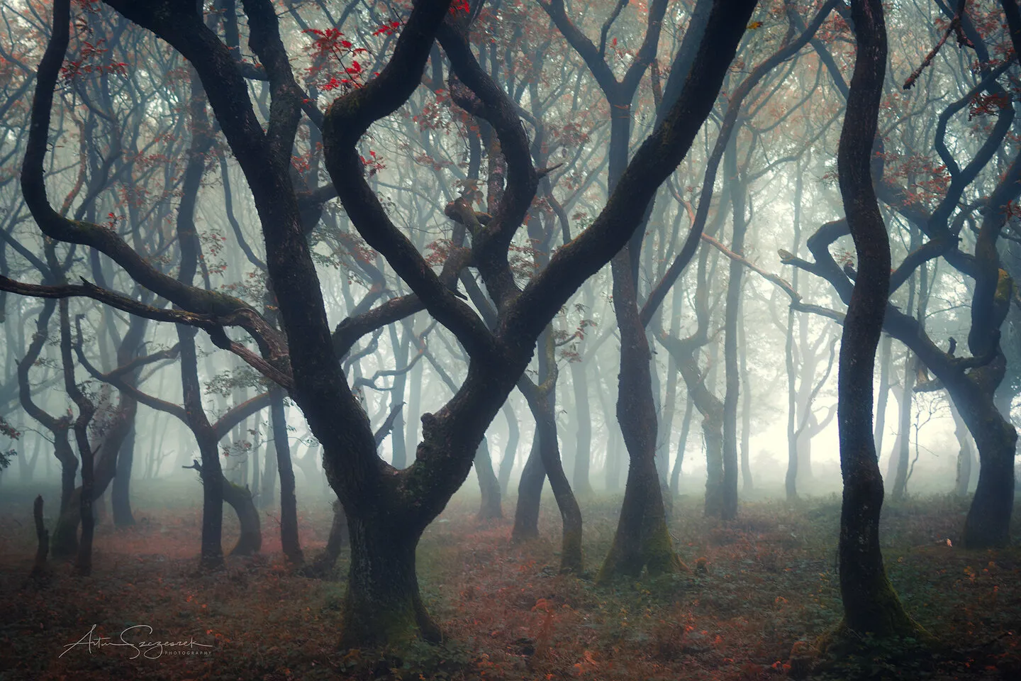 Spooky & Twisted