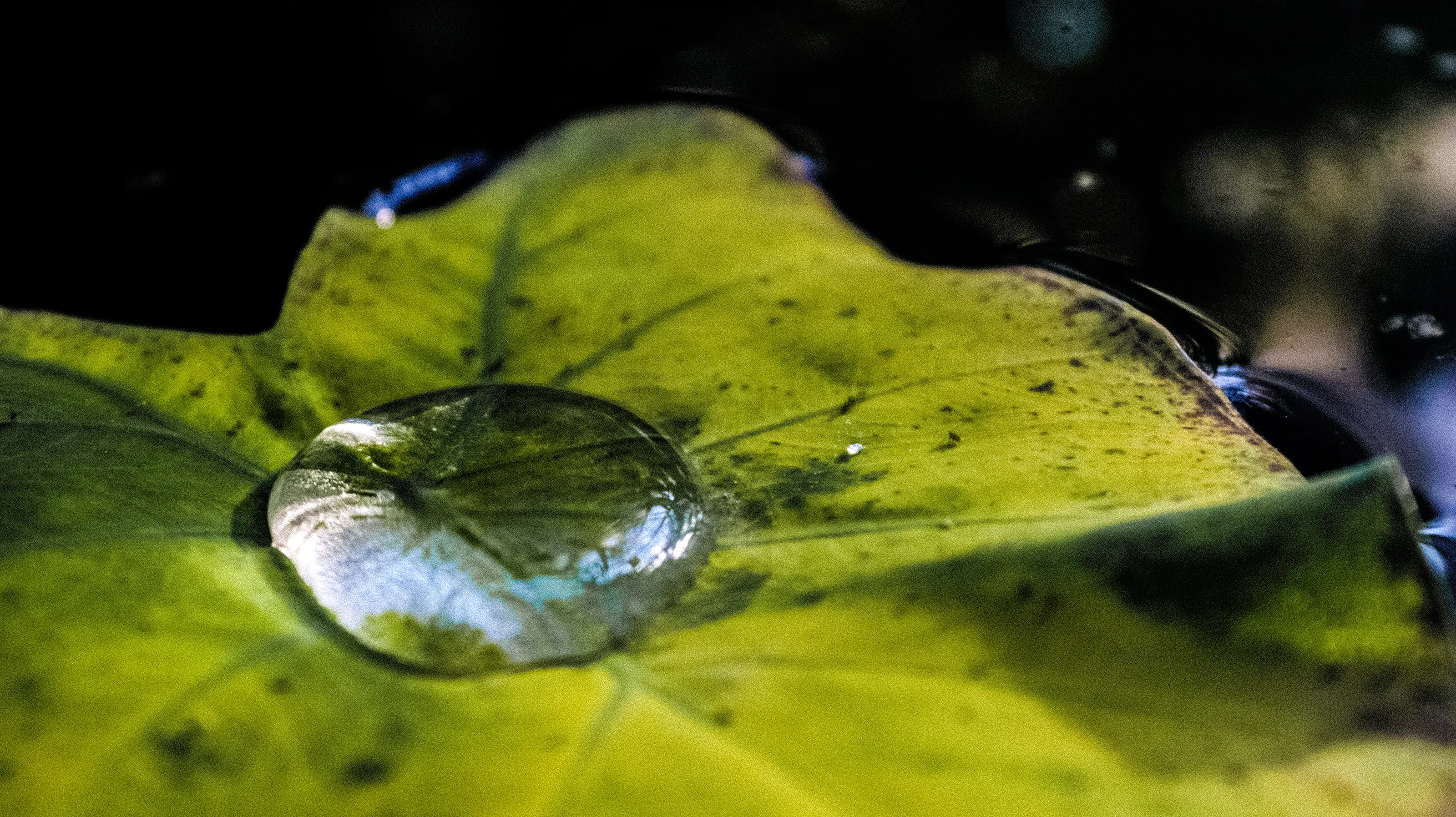 One drop is enough