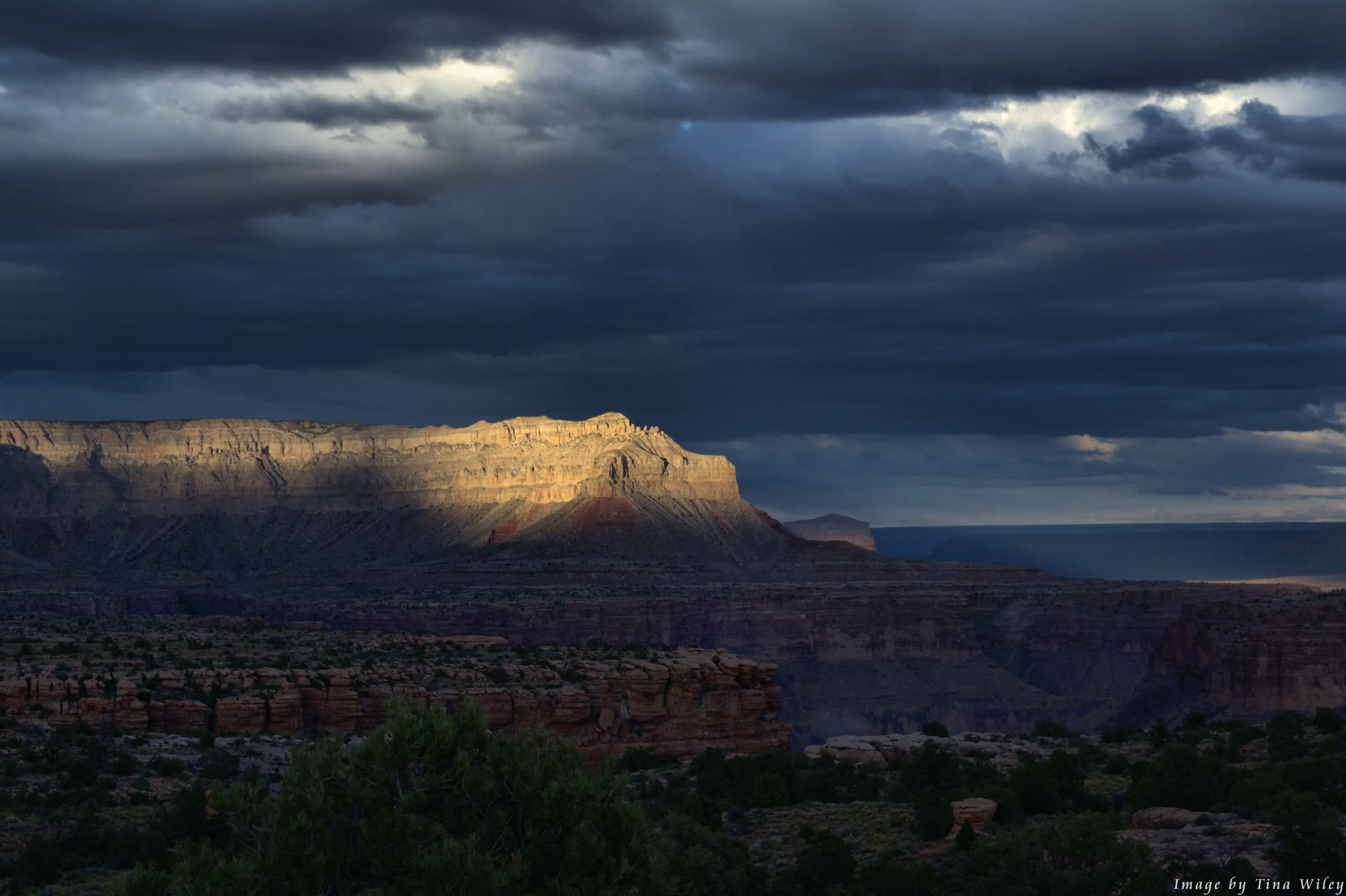 Light in the storm