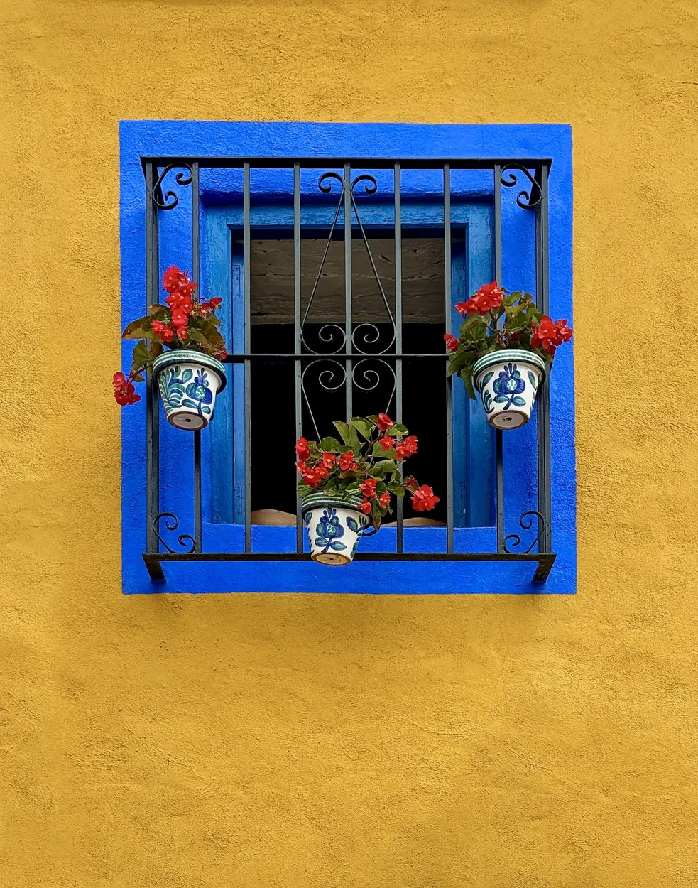 Entry 28110718