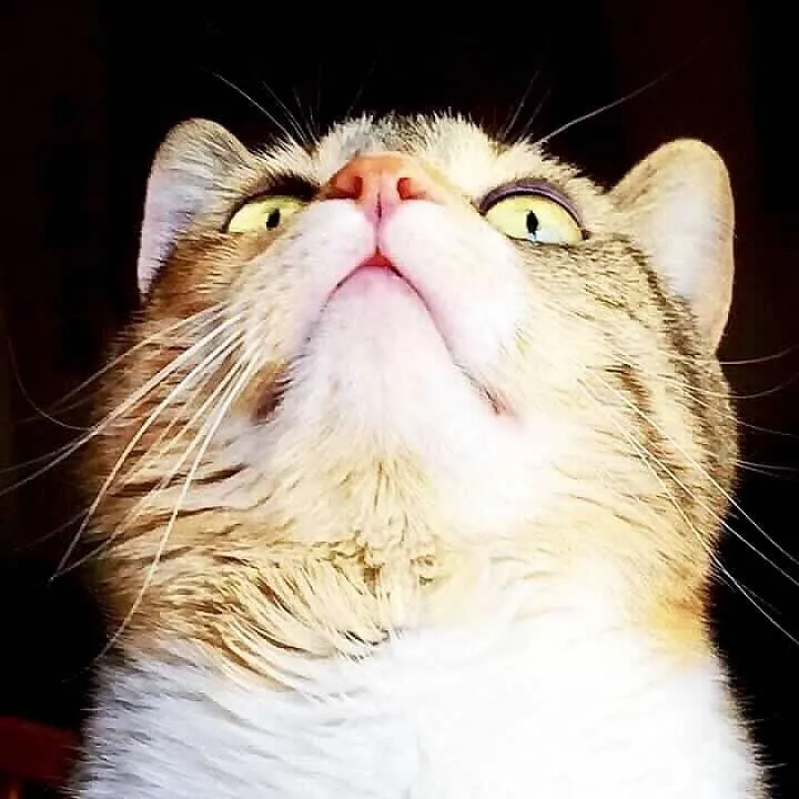 Things Are Looking Up