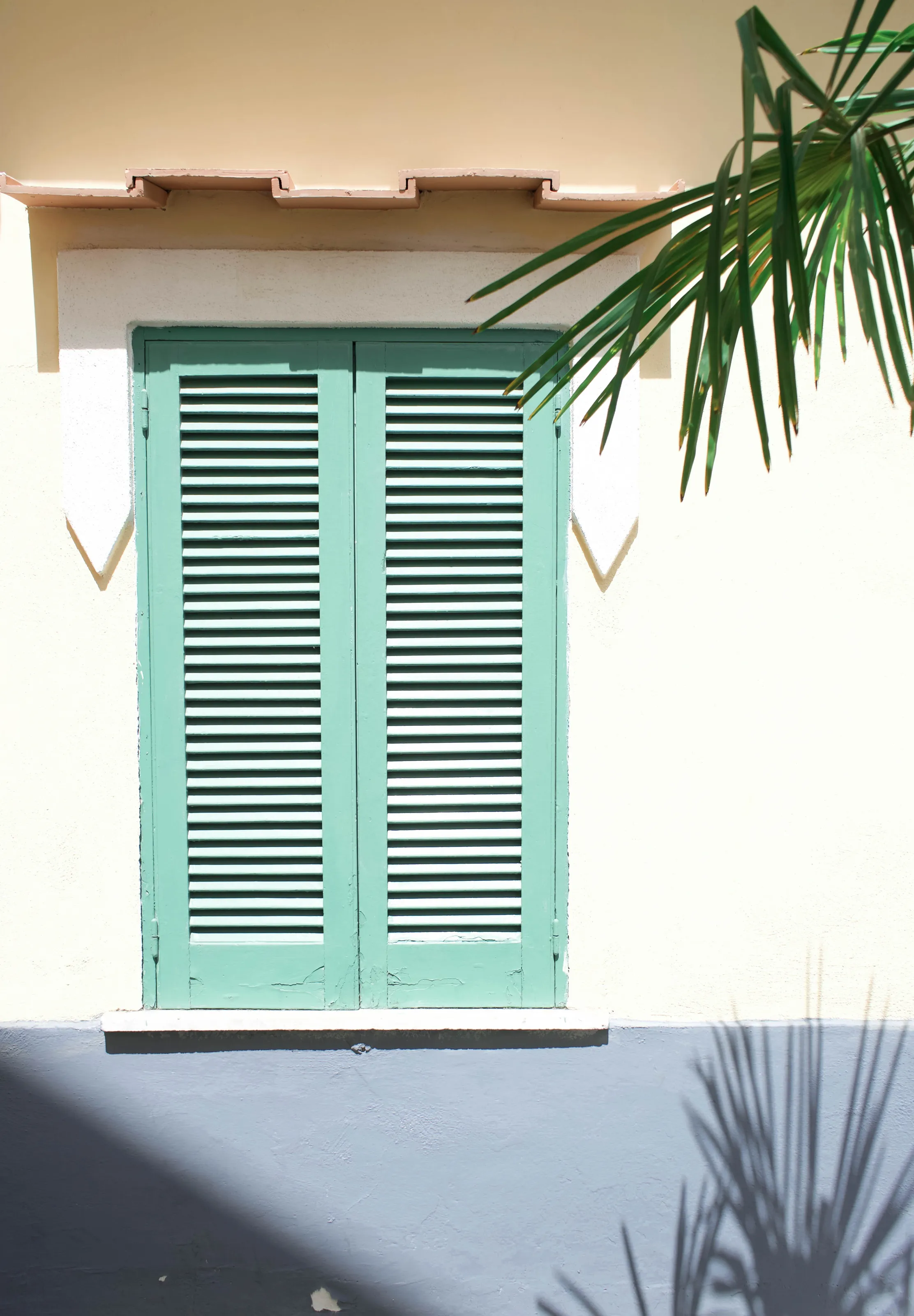 shutter shadows.