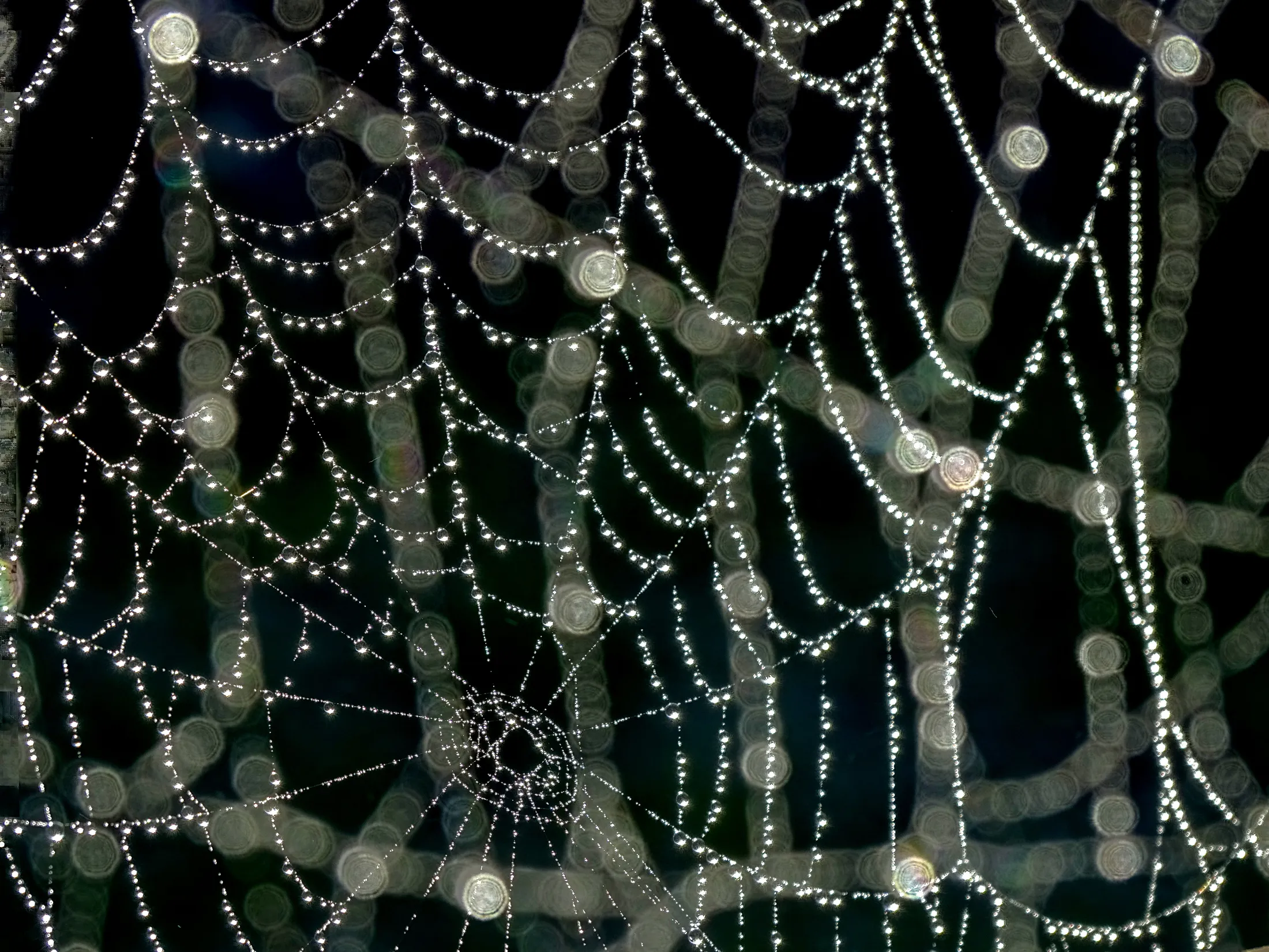 Double spider web