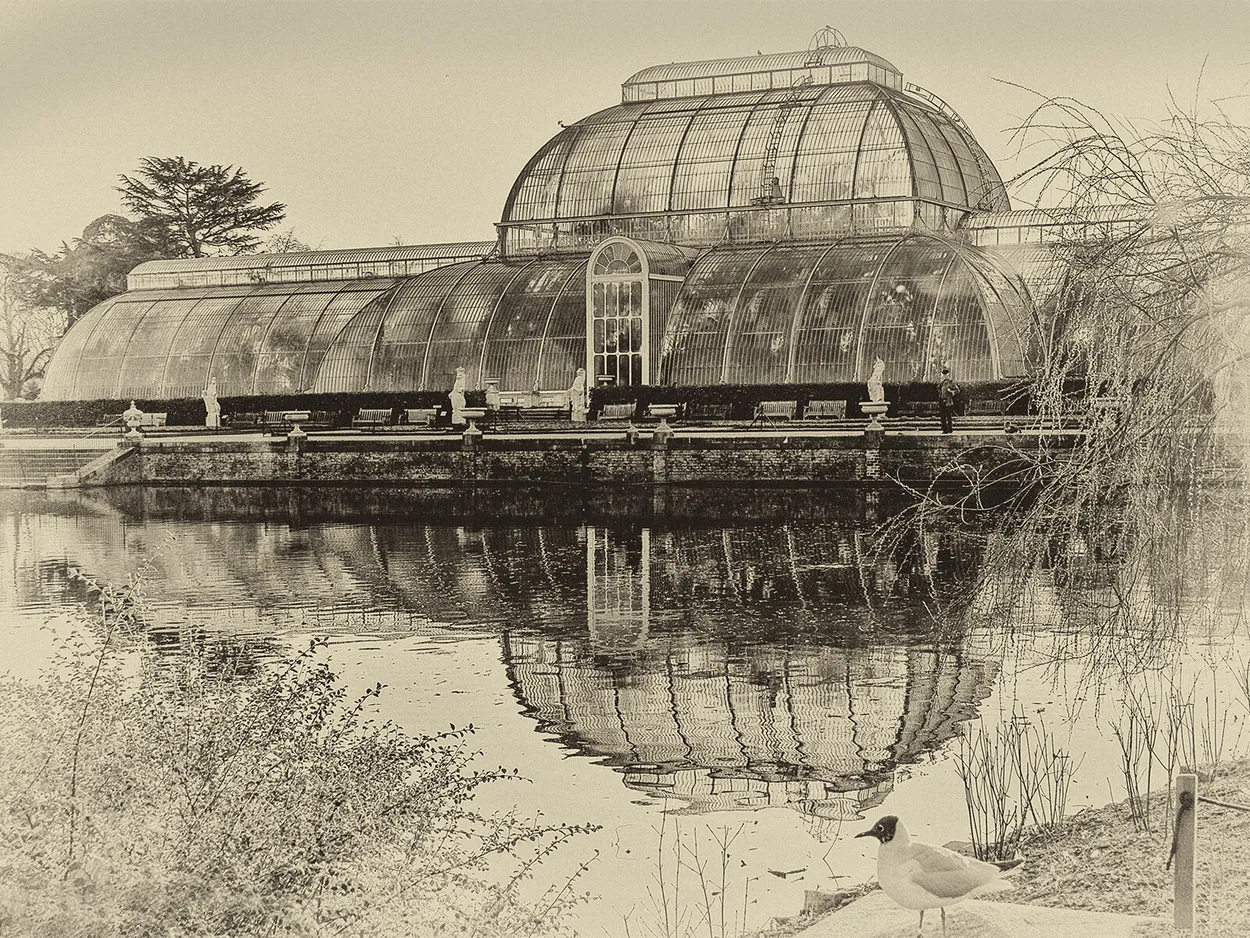 Entry 24397334