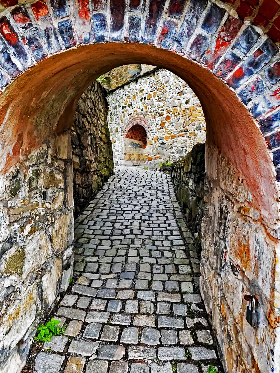 Entry 24781001
