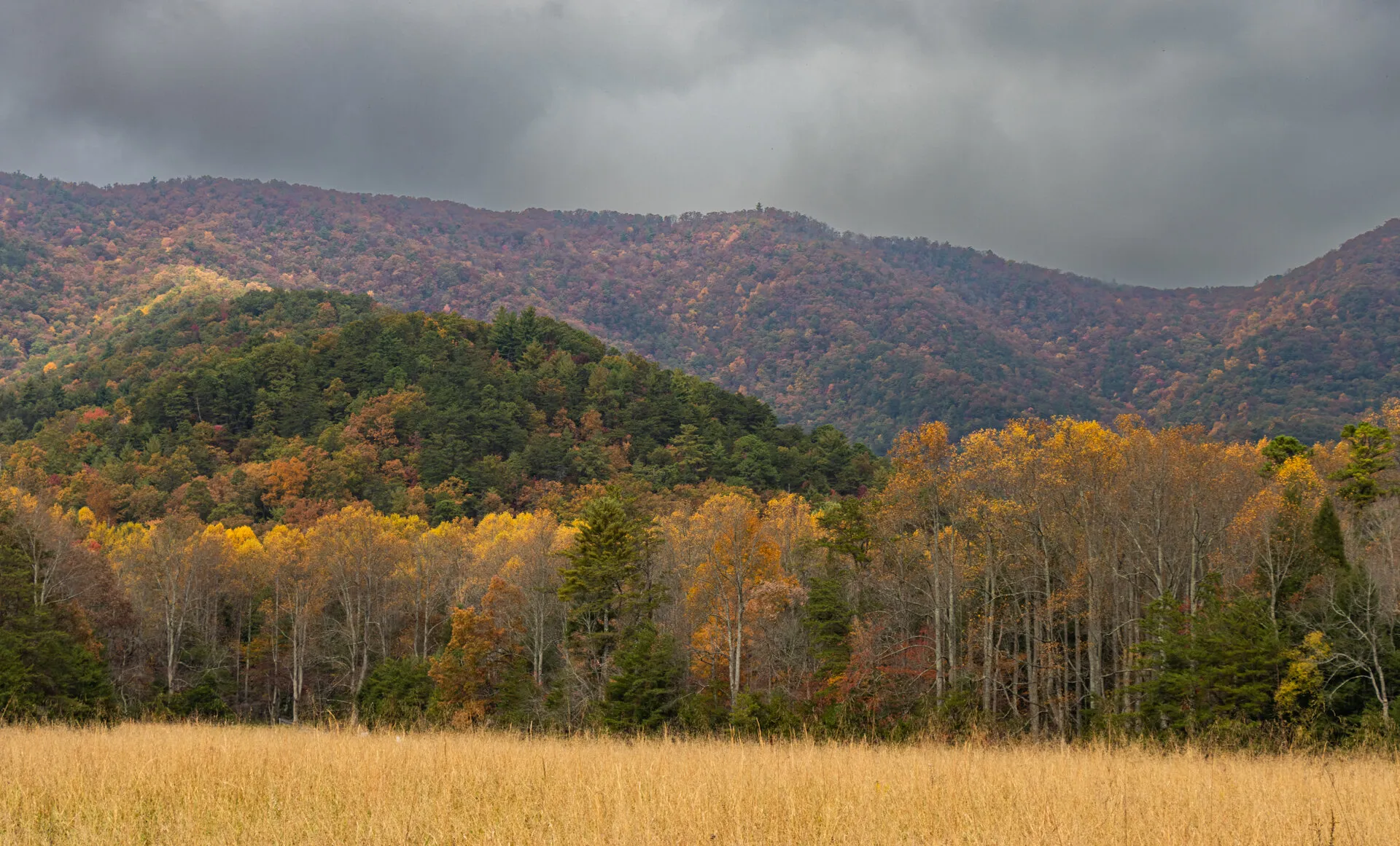 Inside Cades Cove, Great Smoky Monutains National Park