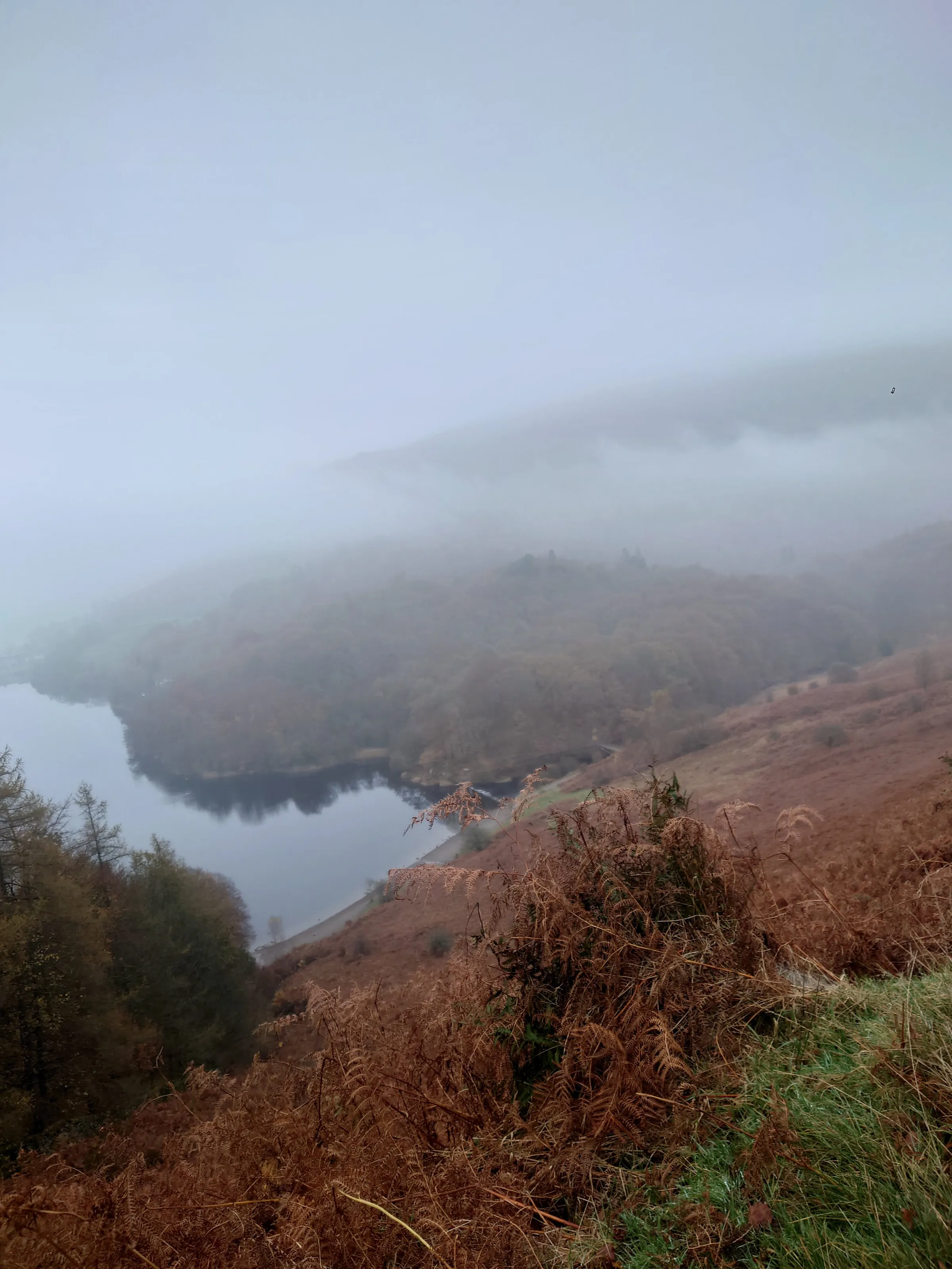 Lake district