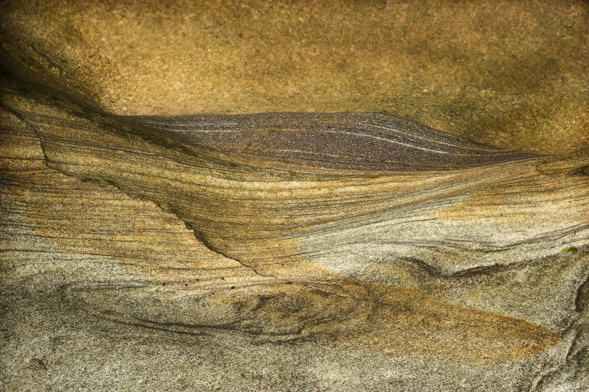 Spittal Northumberland Rock Formations