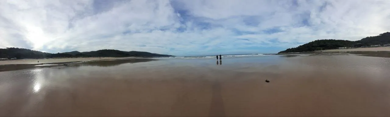 On the sunlit beach