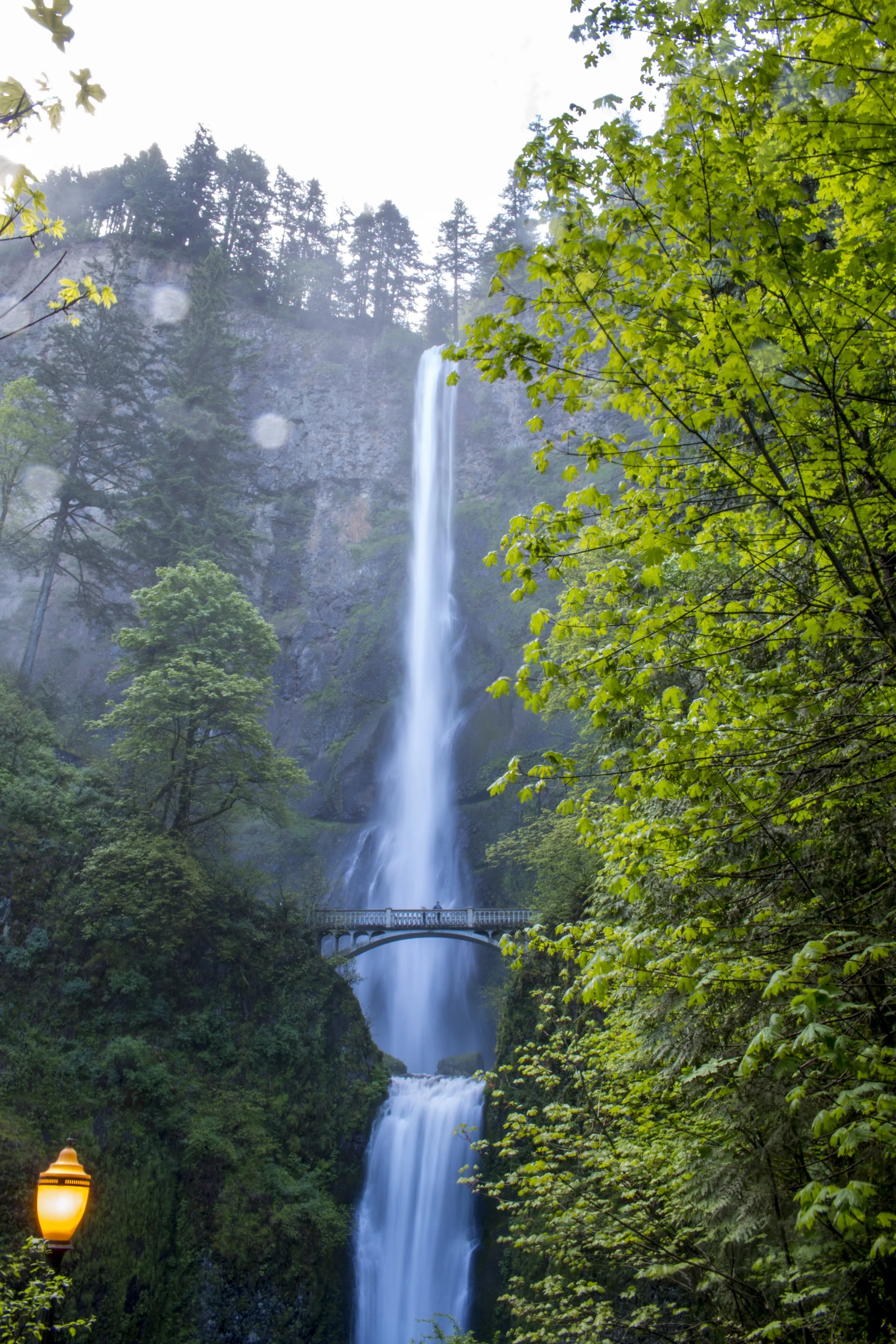 Multnomah falls