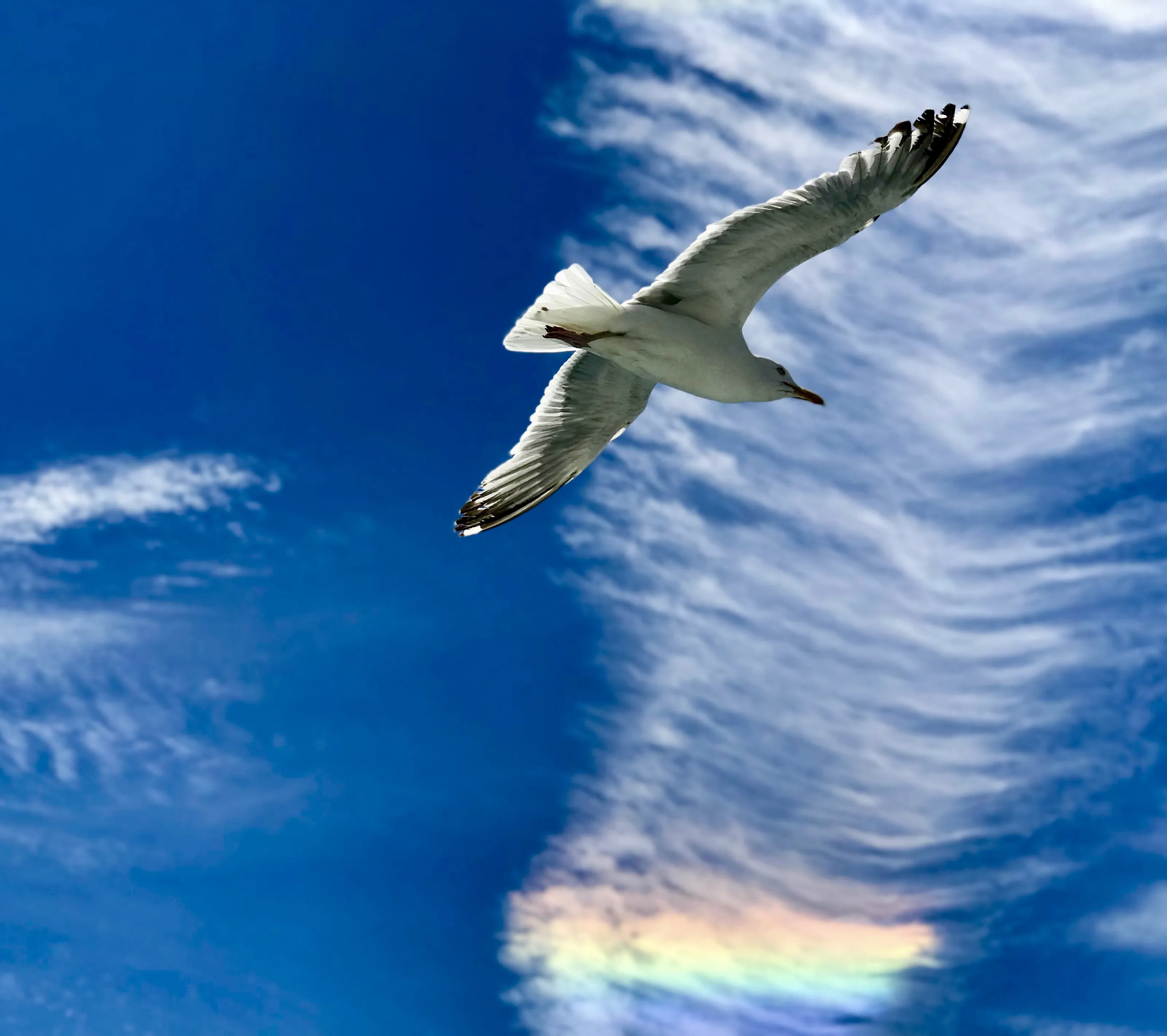 Banner image