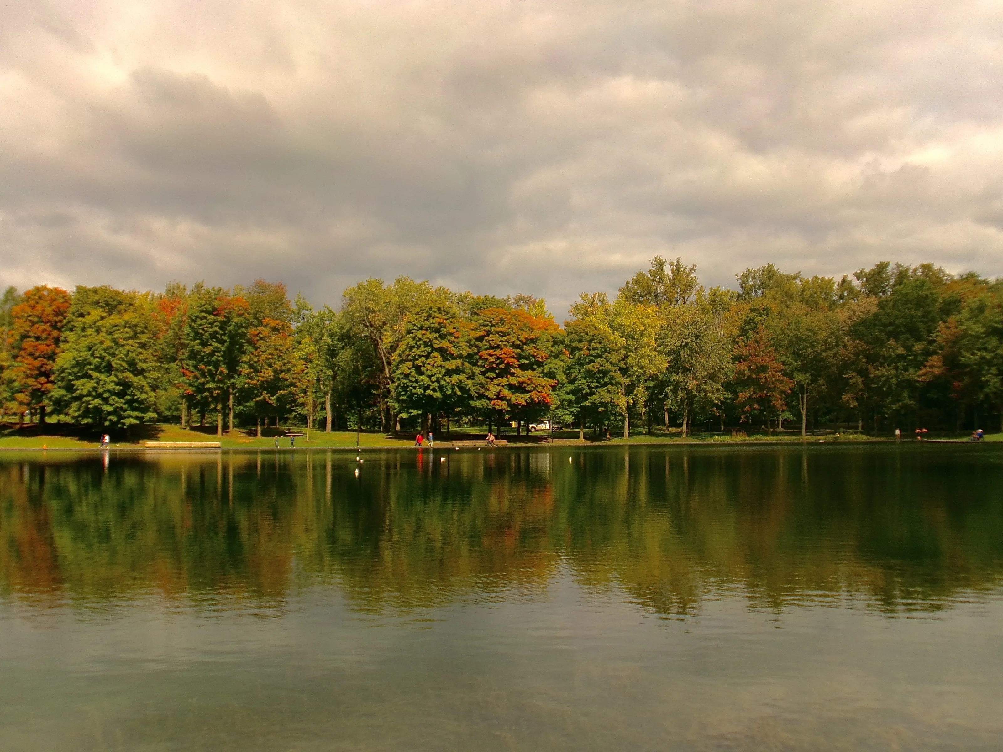 Beaver lake Montreal