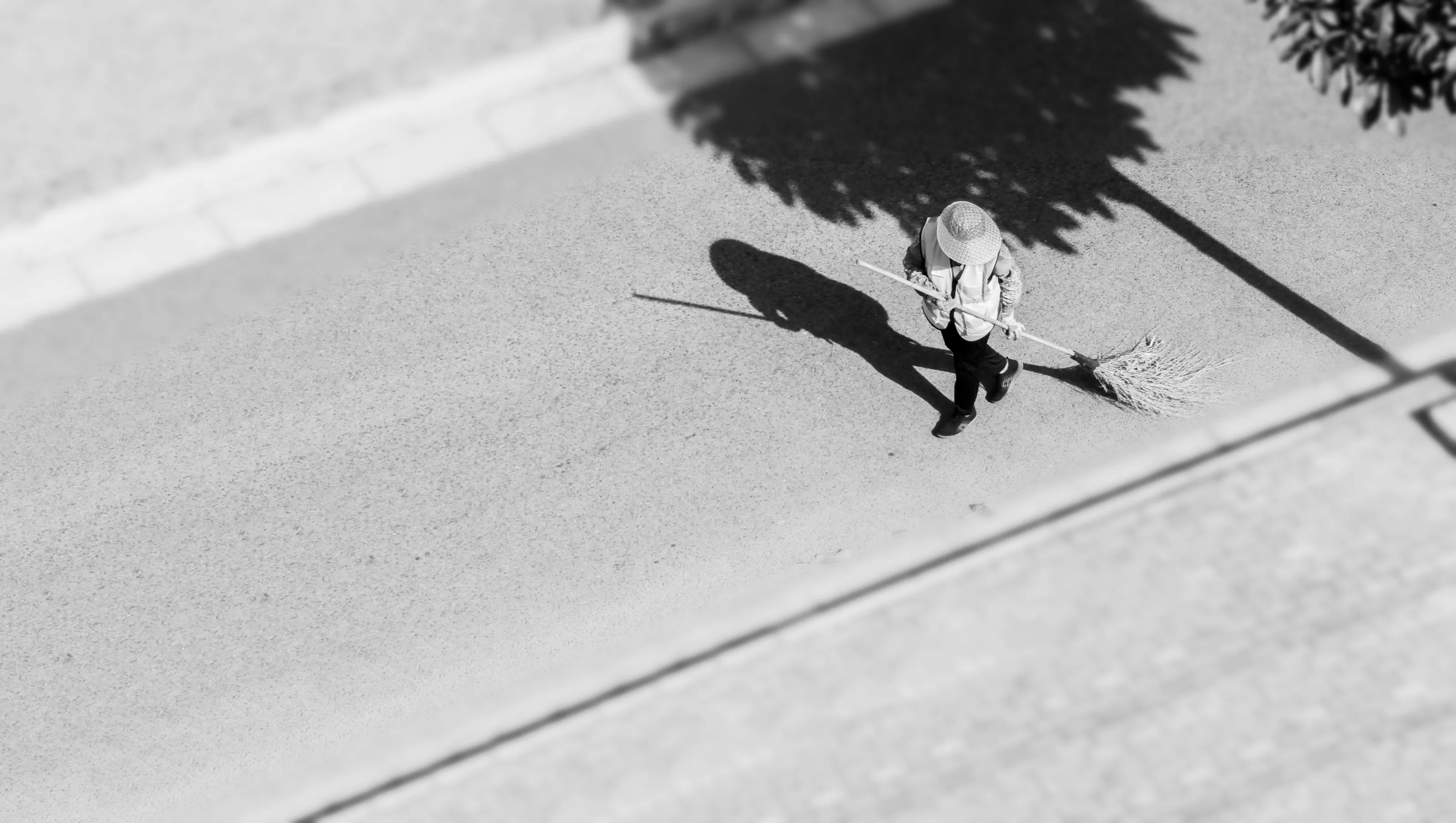 Their Shadows