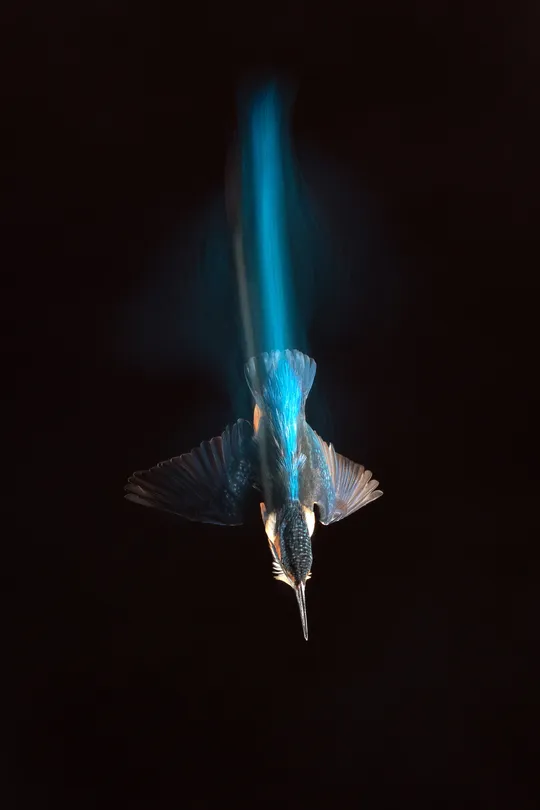 Turquoise arrow
