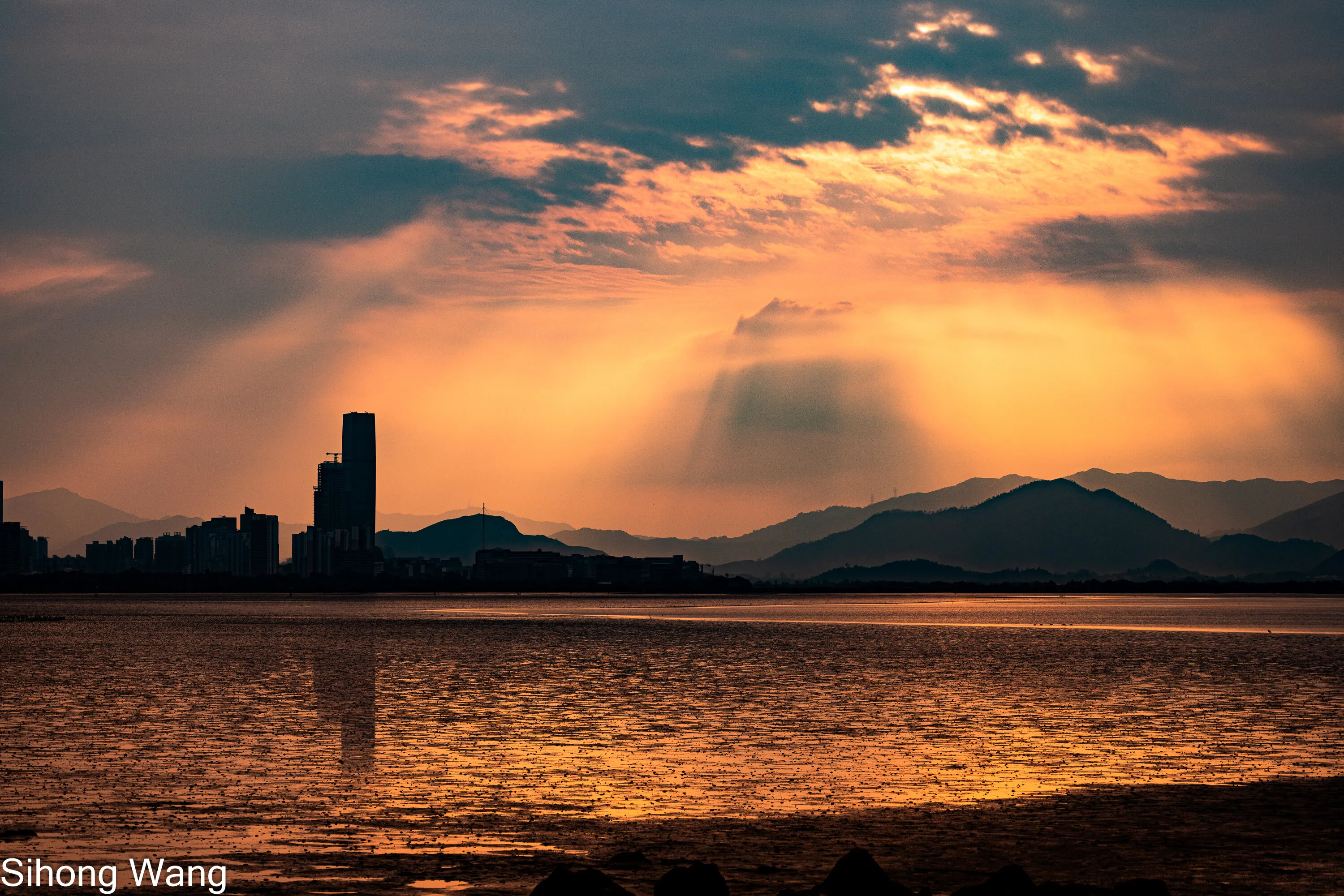Dawn of Shenzhen