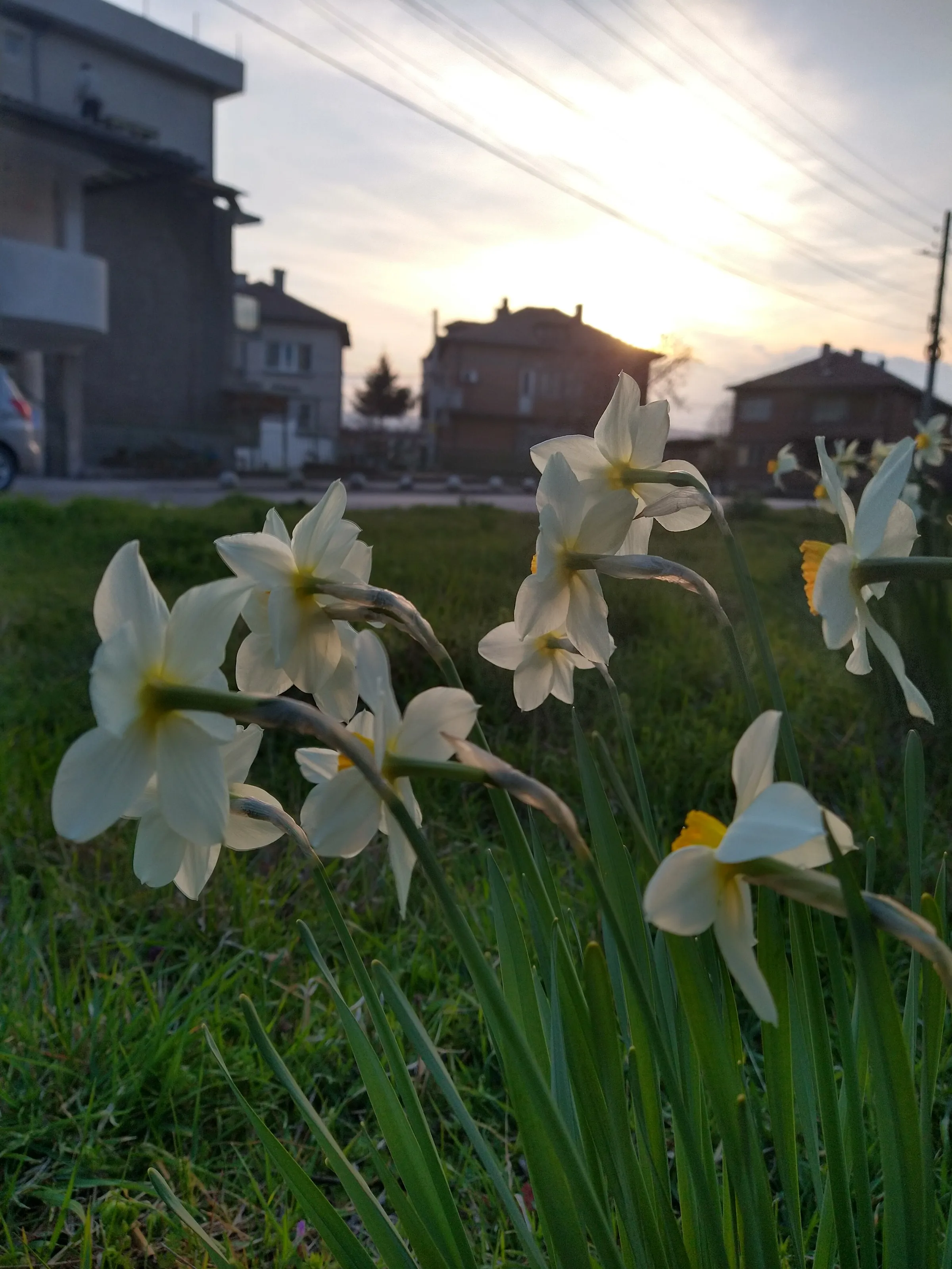 Raising dawn.