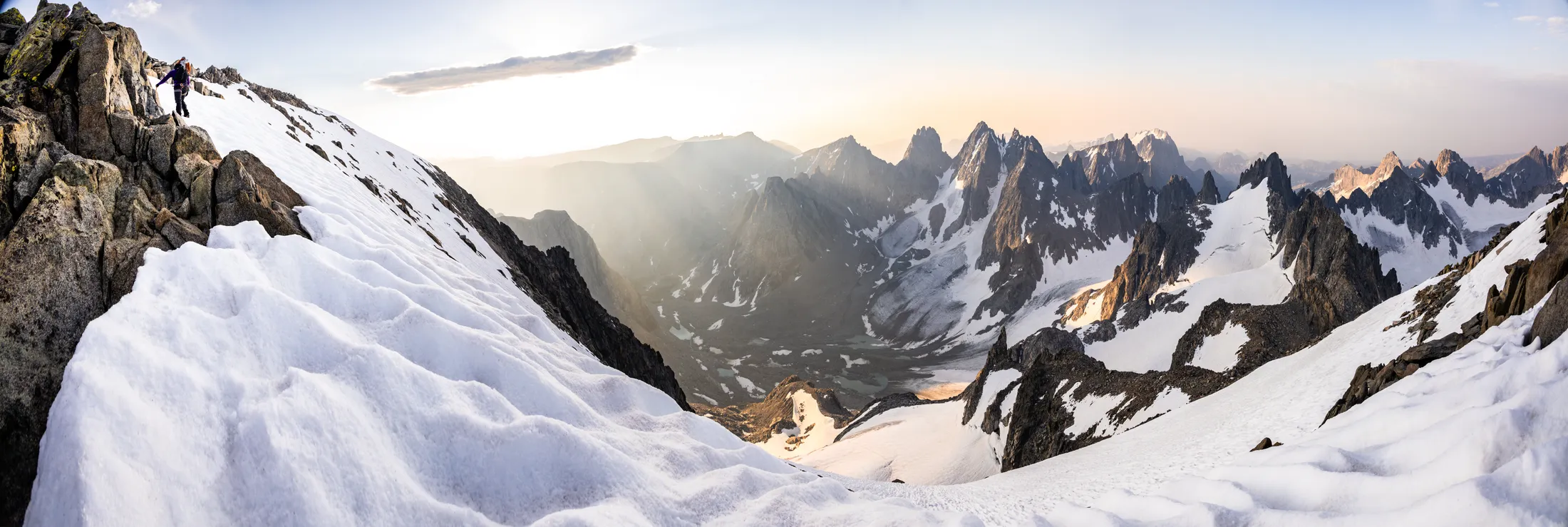 Entry 22546922