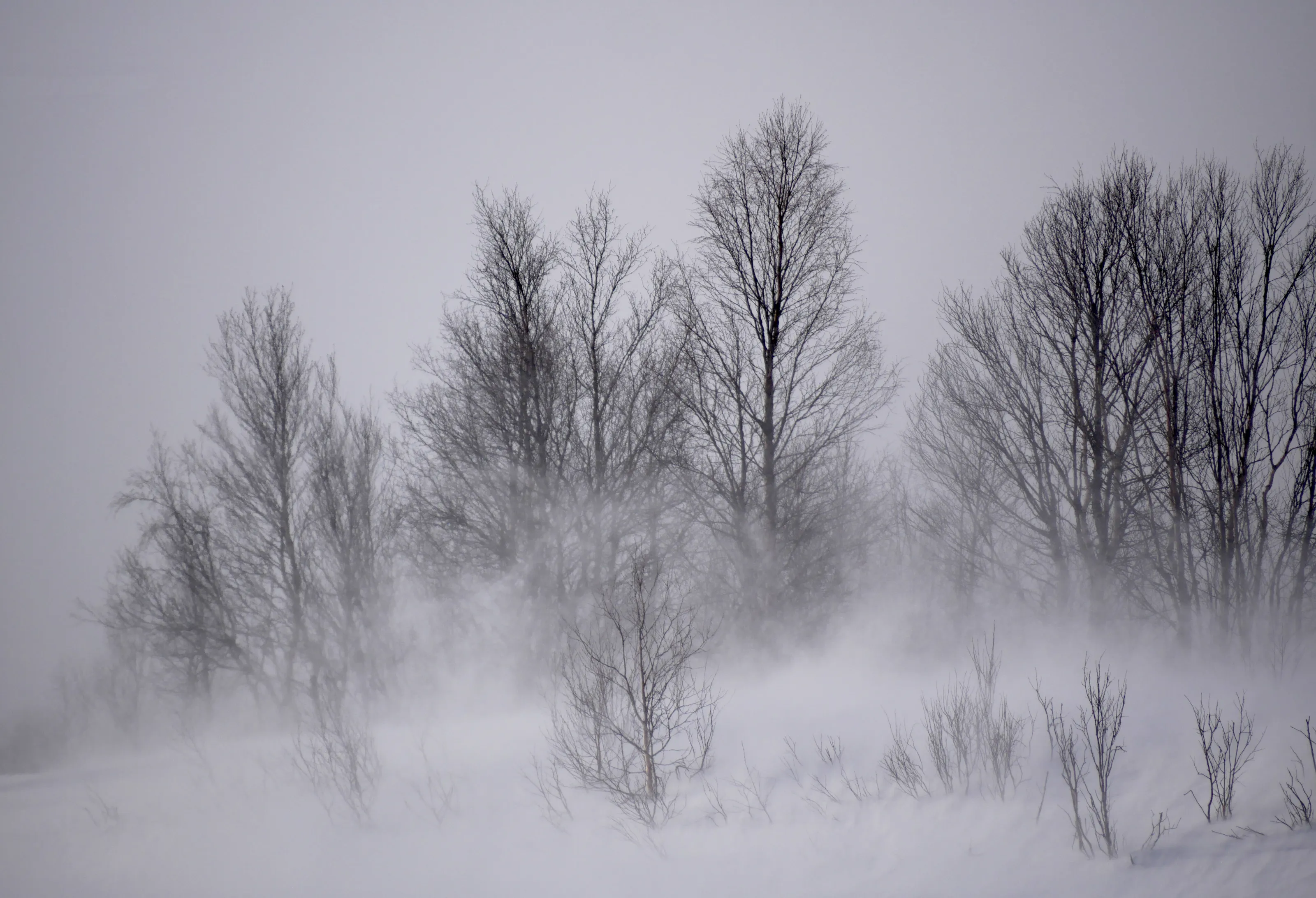 Snow storm