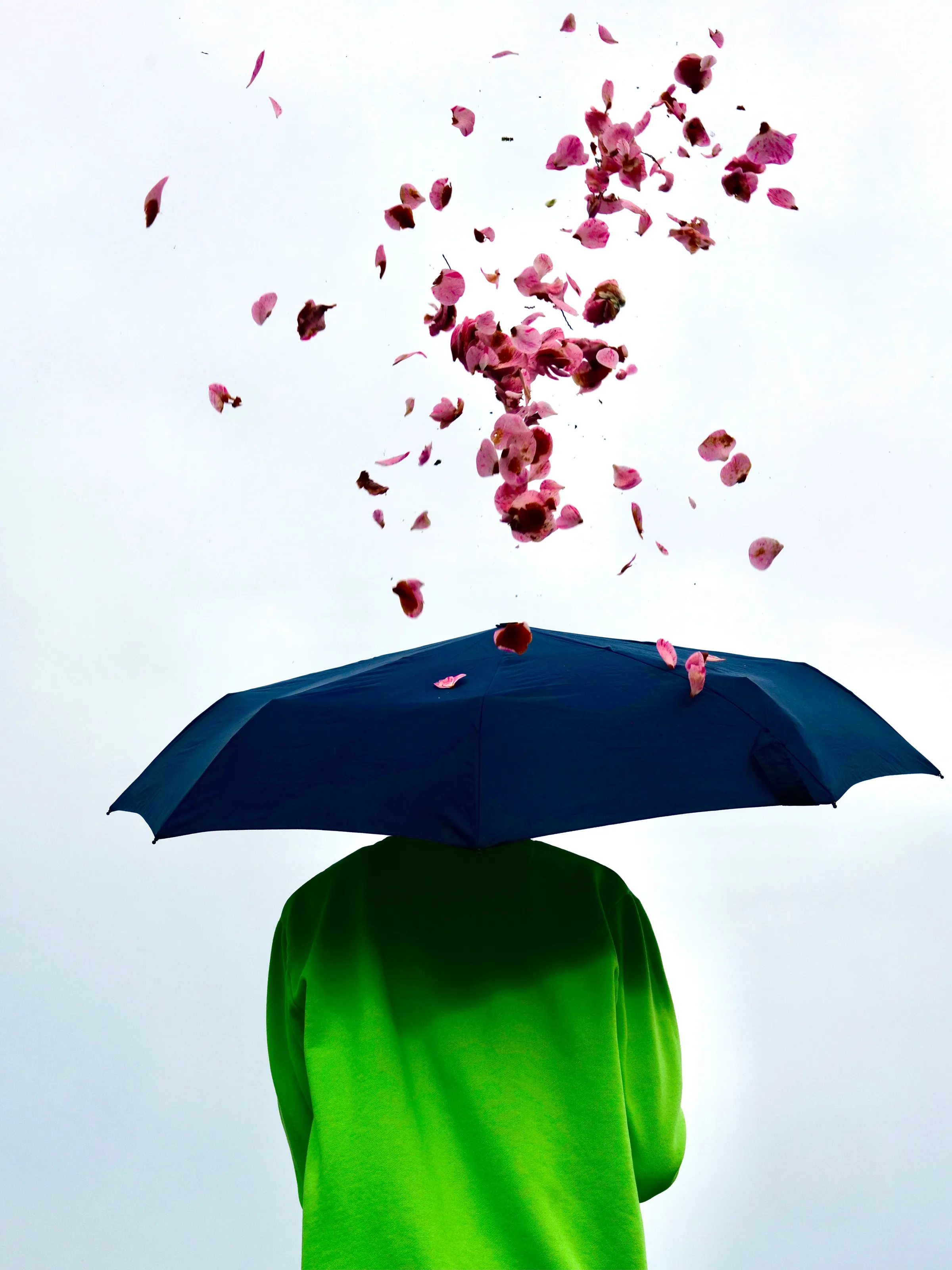 Flower Shower