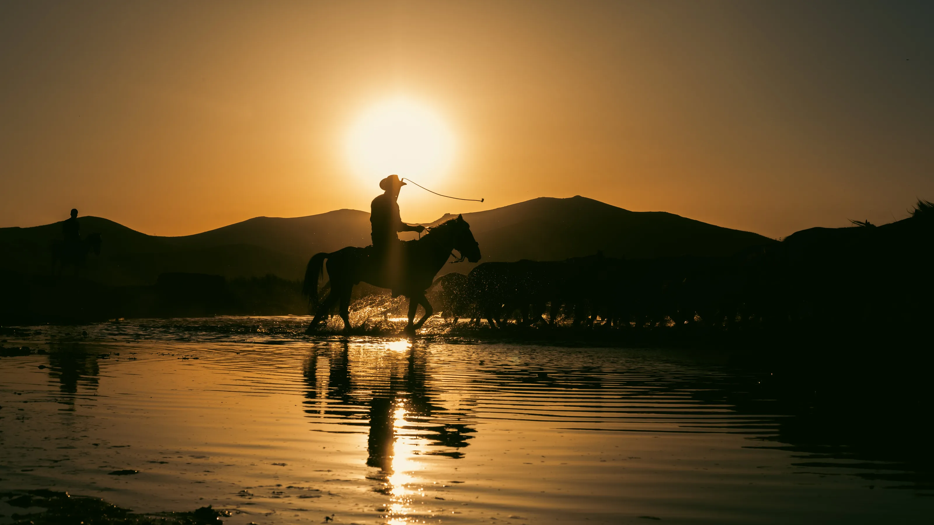cowboy near the lake with horses