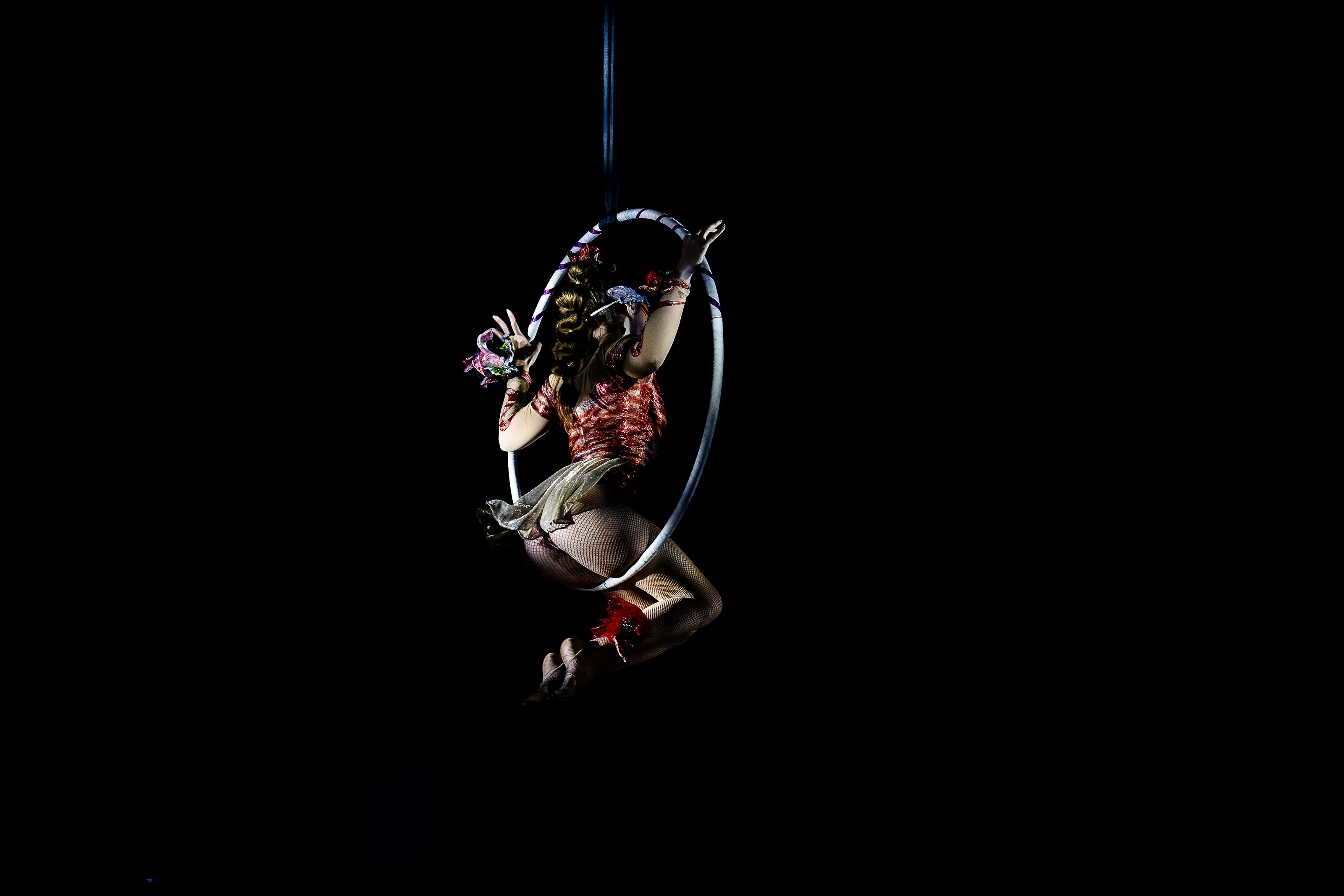 Aerial Artists Performing