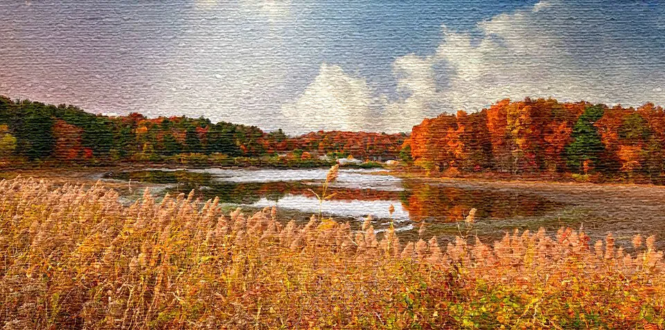 Autumn in the Backwater