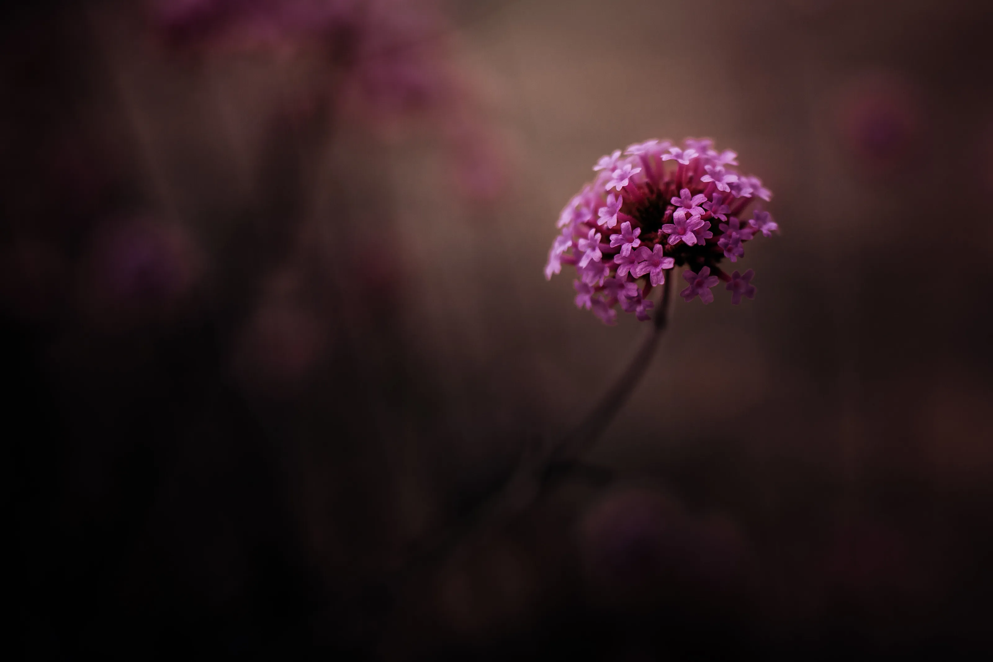 Small moments