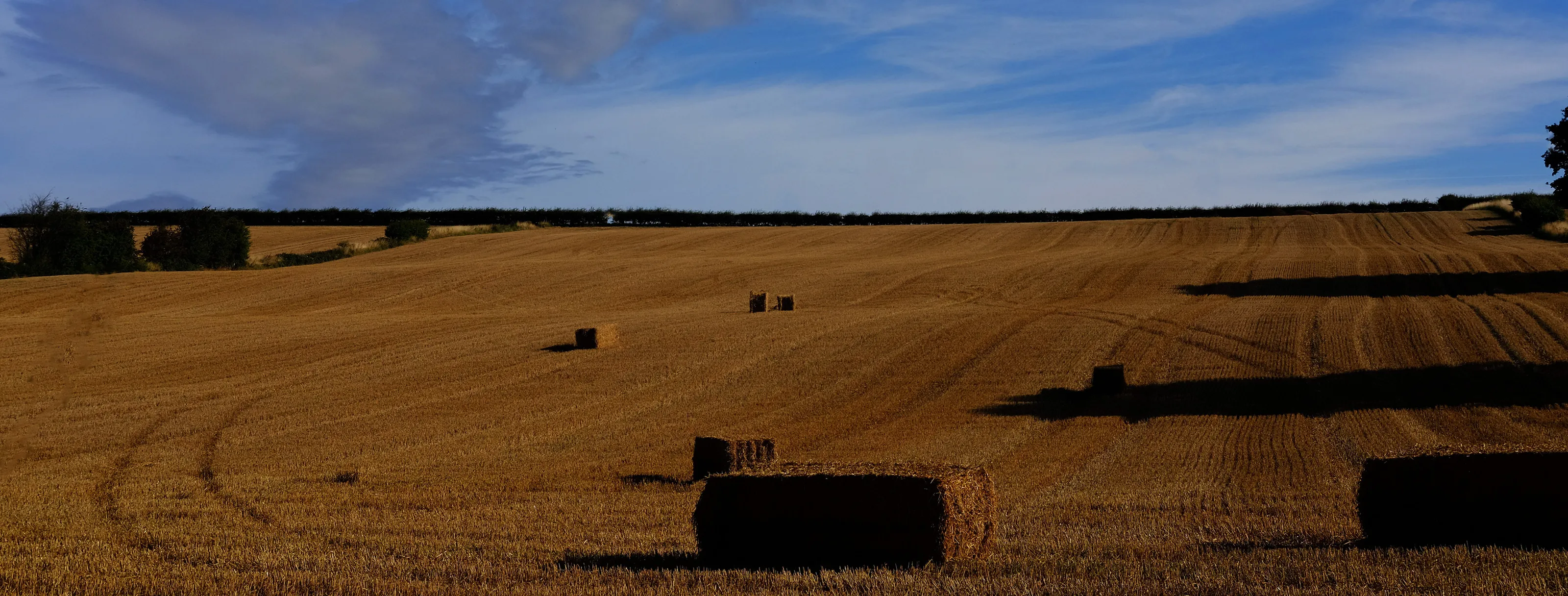 Hay at Wentworth. The last days of summer.