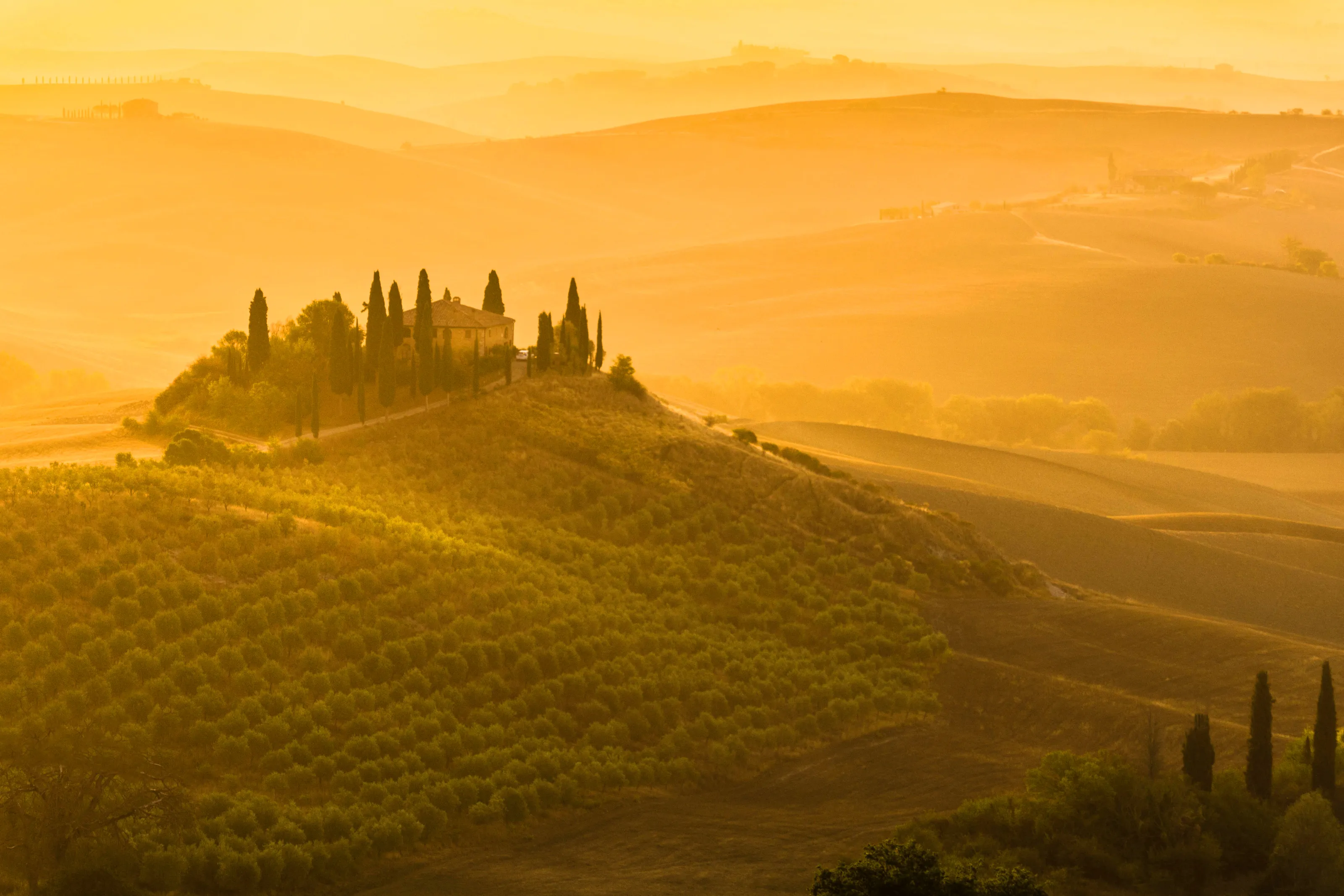 Belvedere Dawn