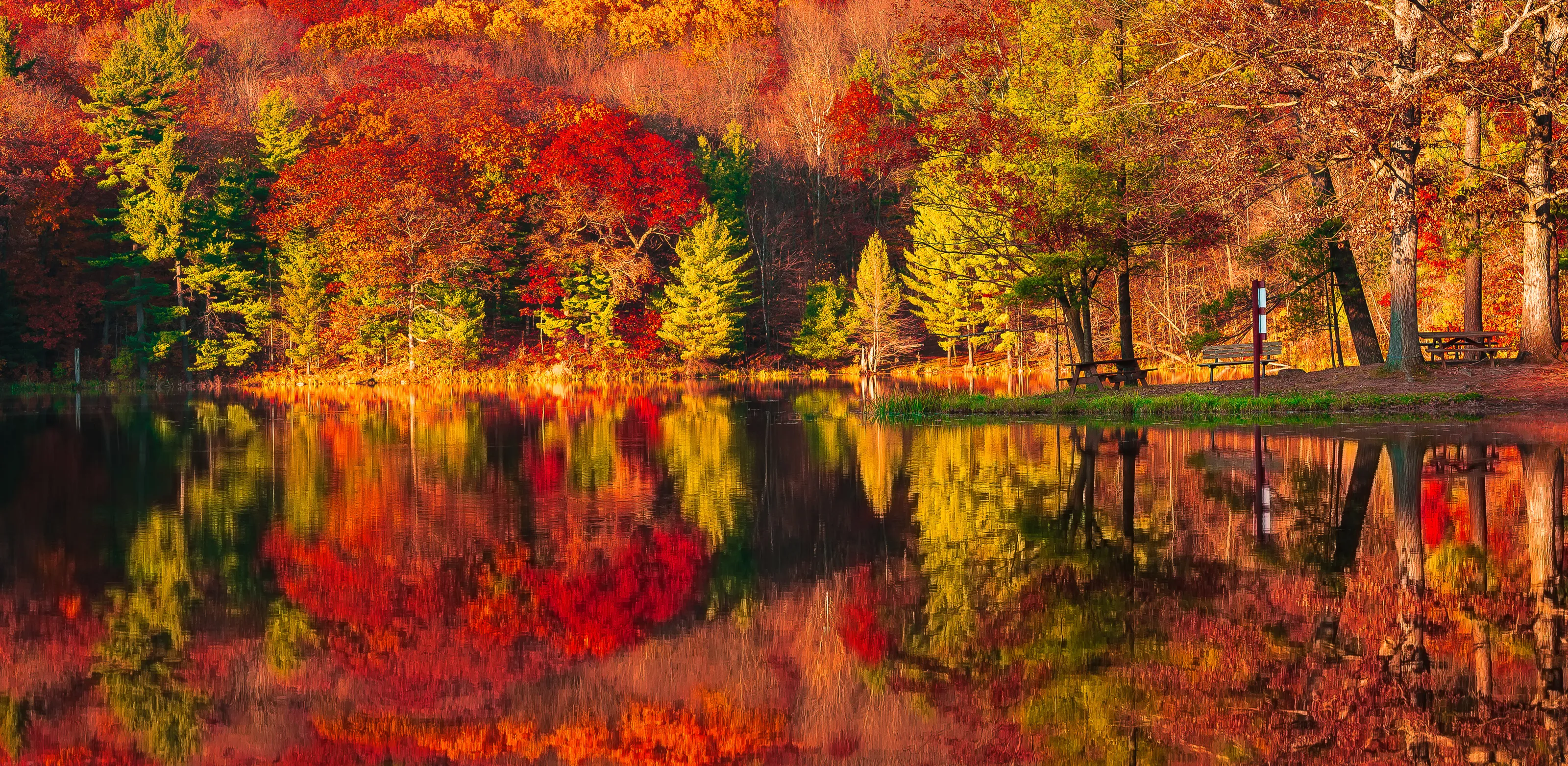 Reflections of fall