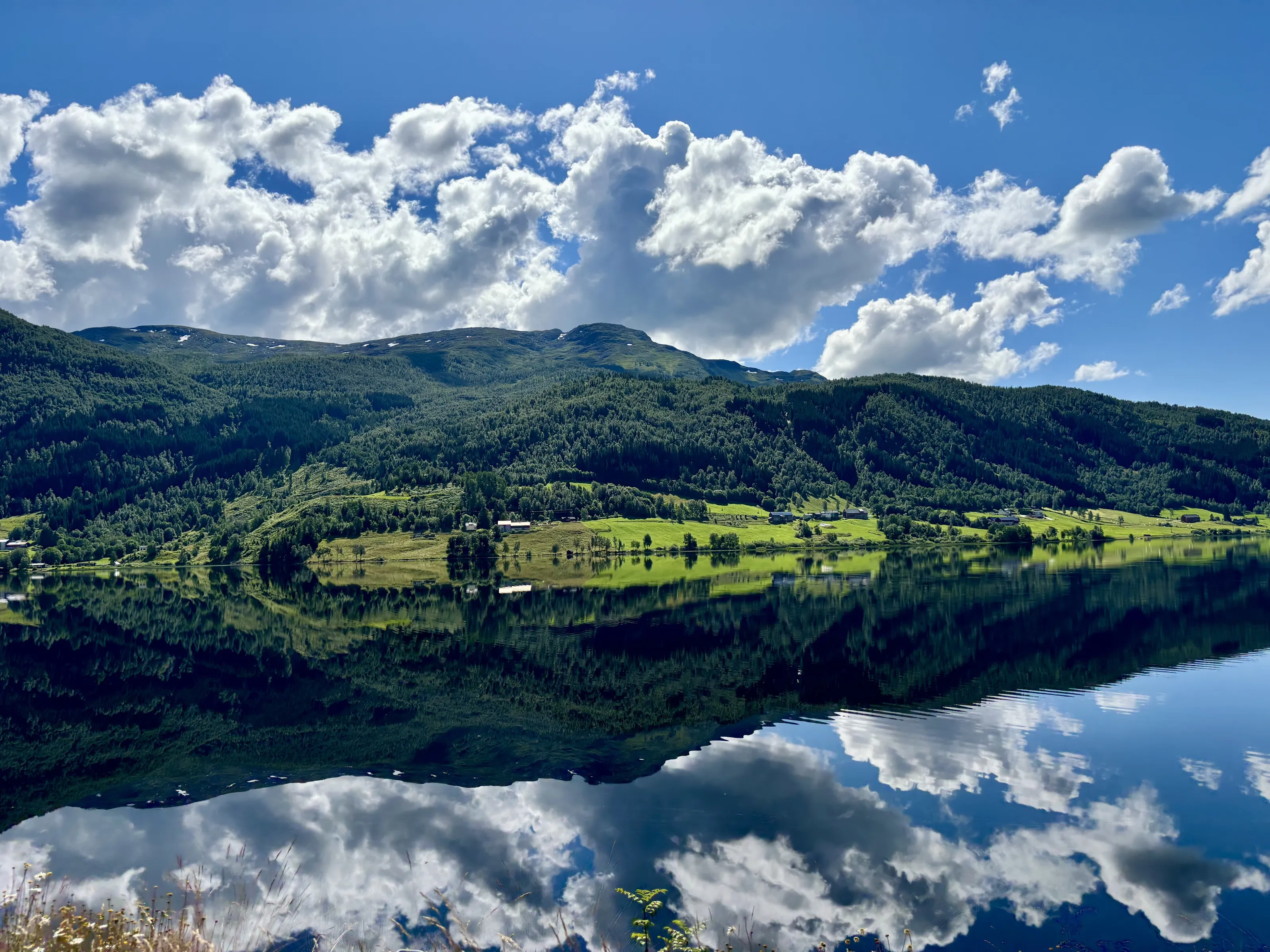 The mirror