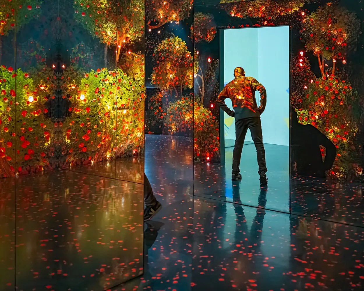 Entry 26011000