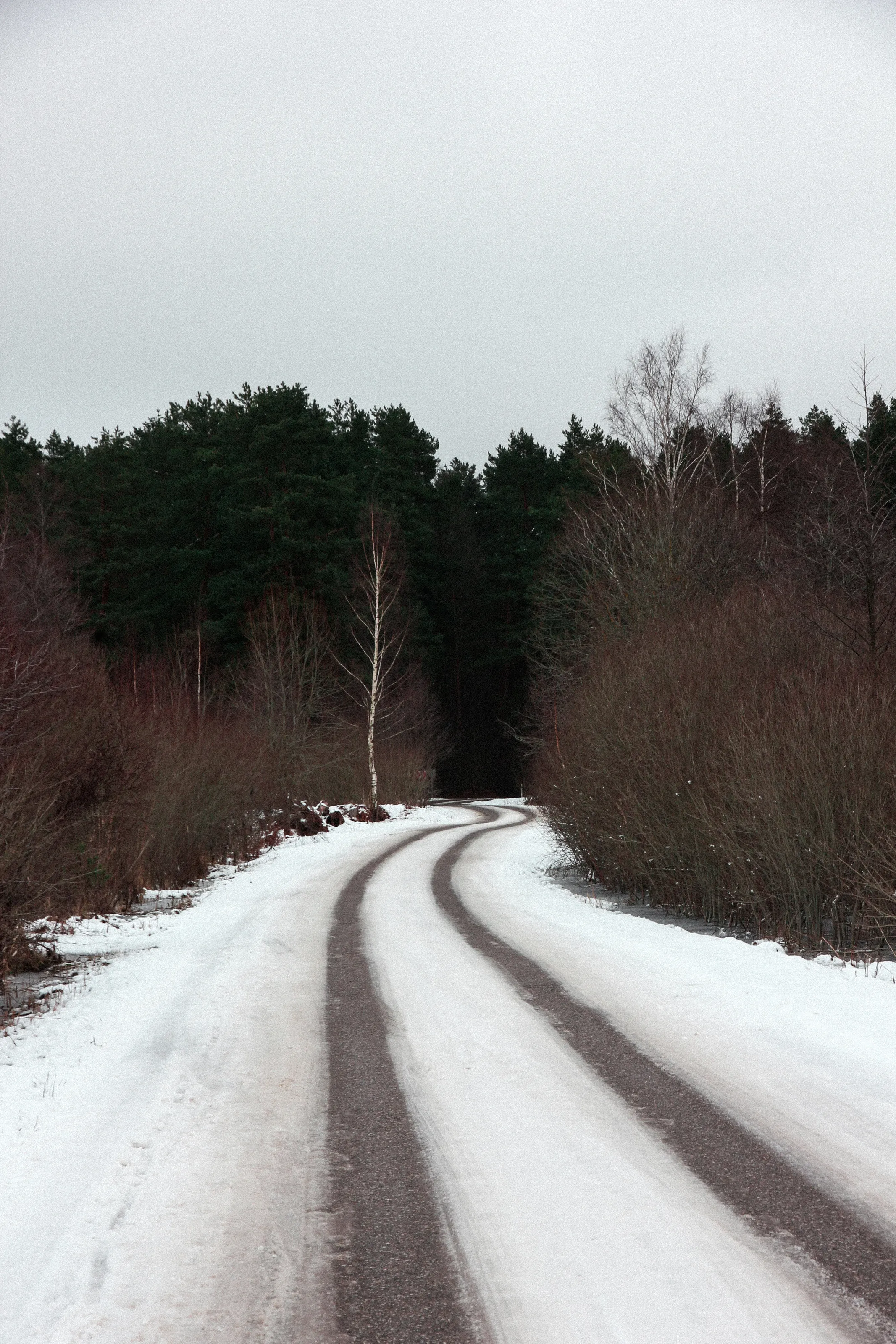 winter road