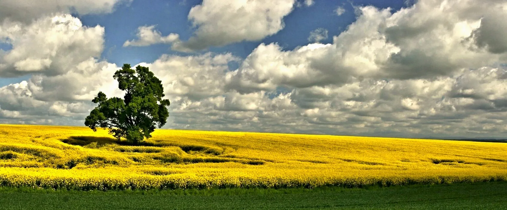 Entry 2220875