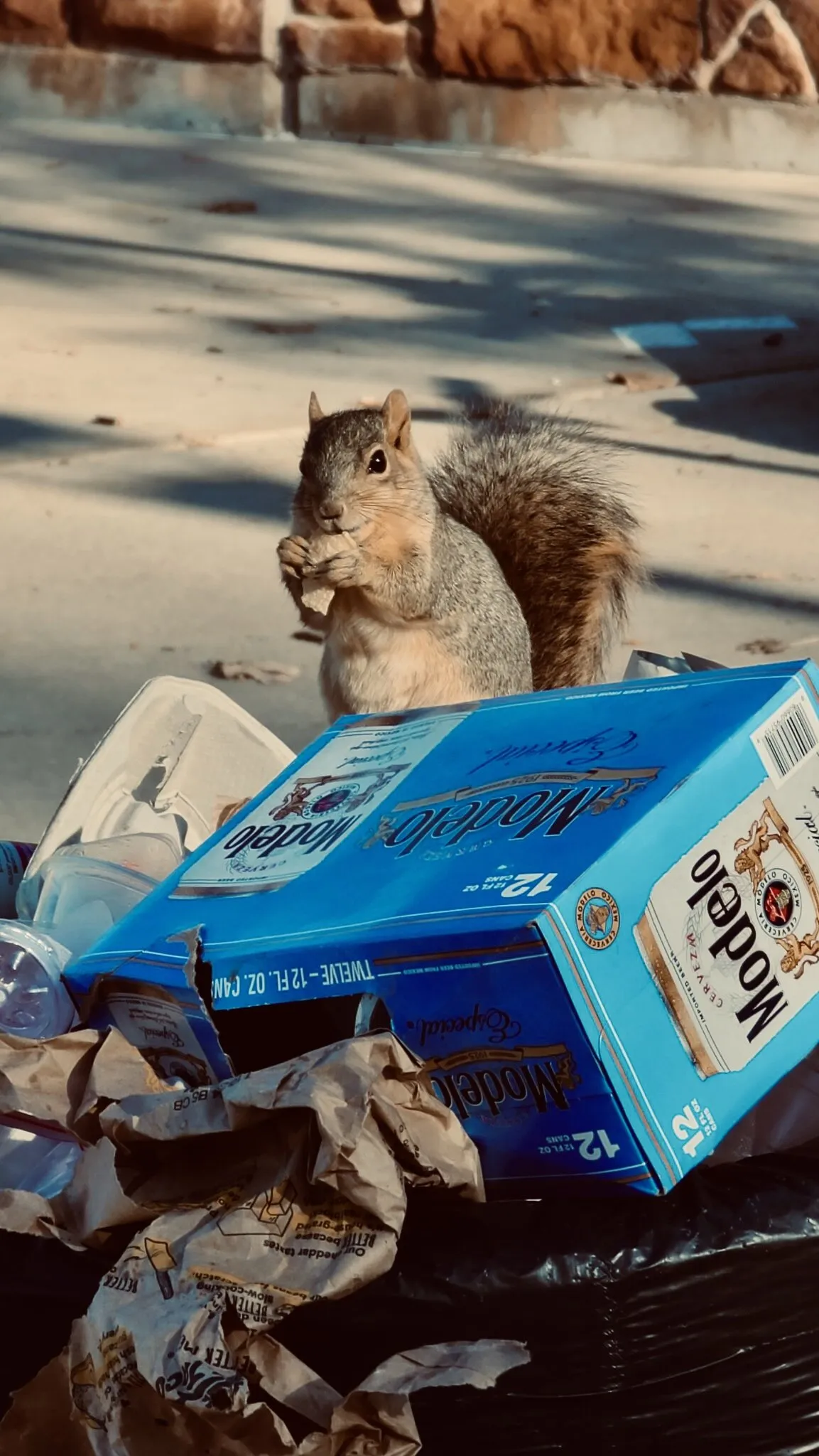 Banner image