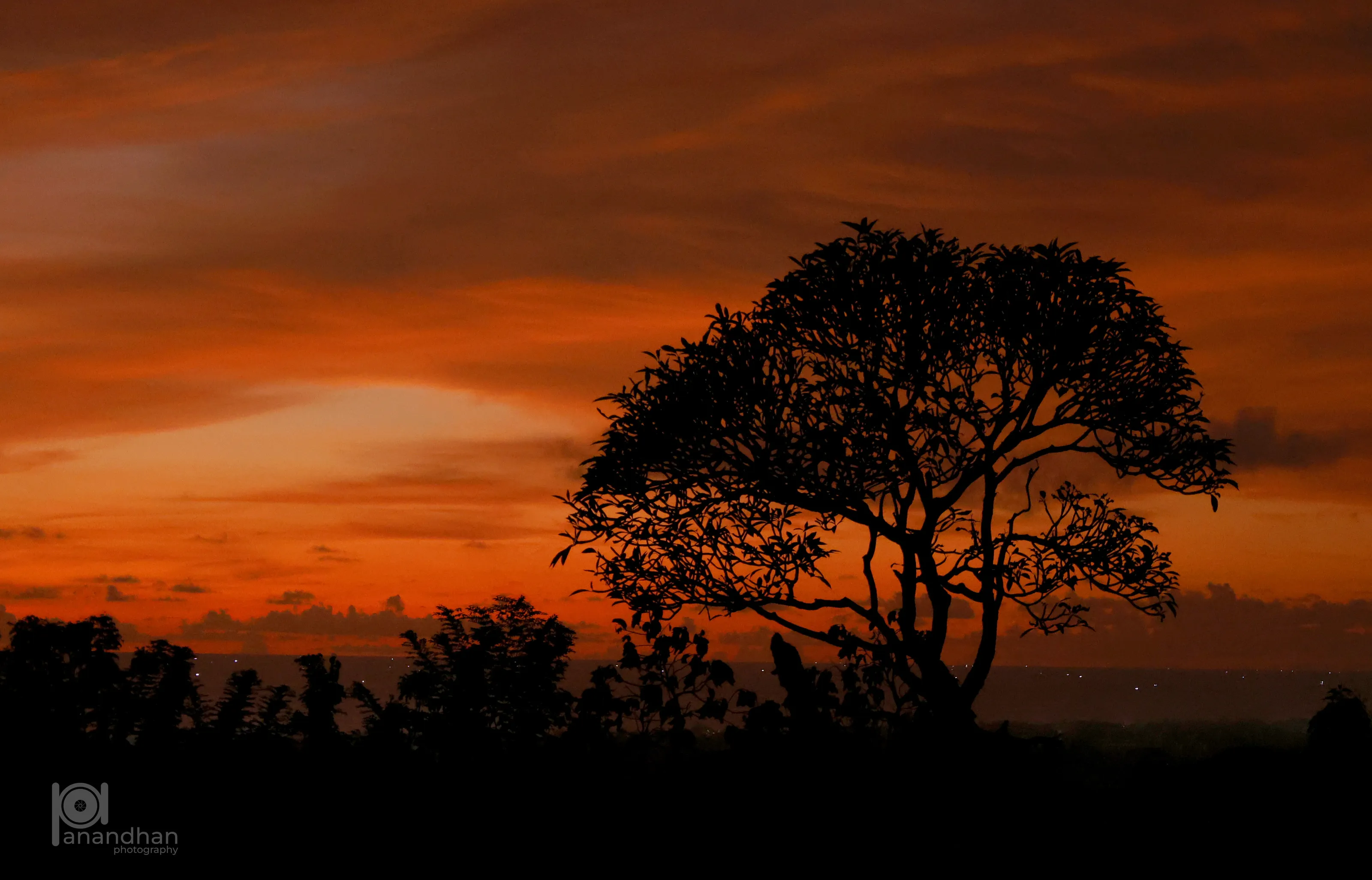 The Silhouette of Serenity