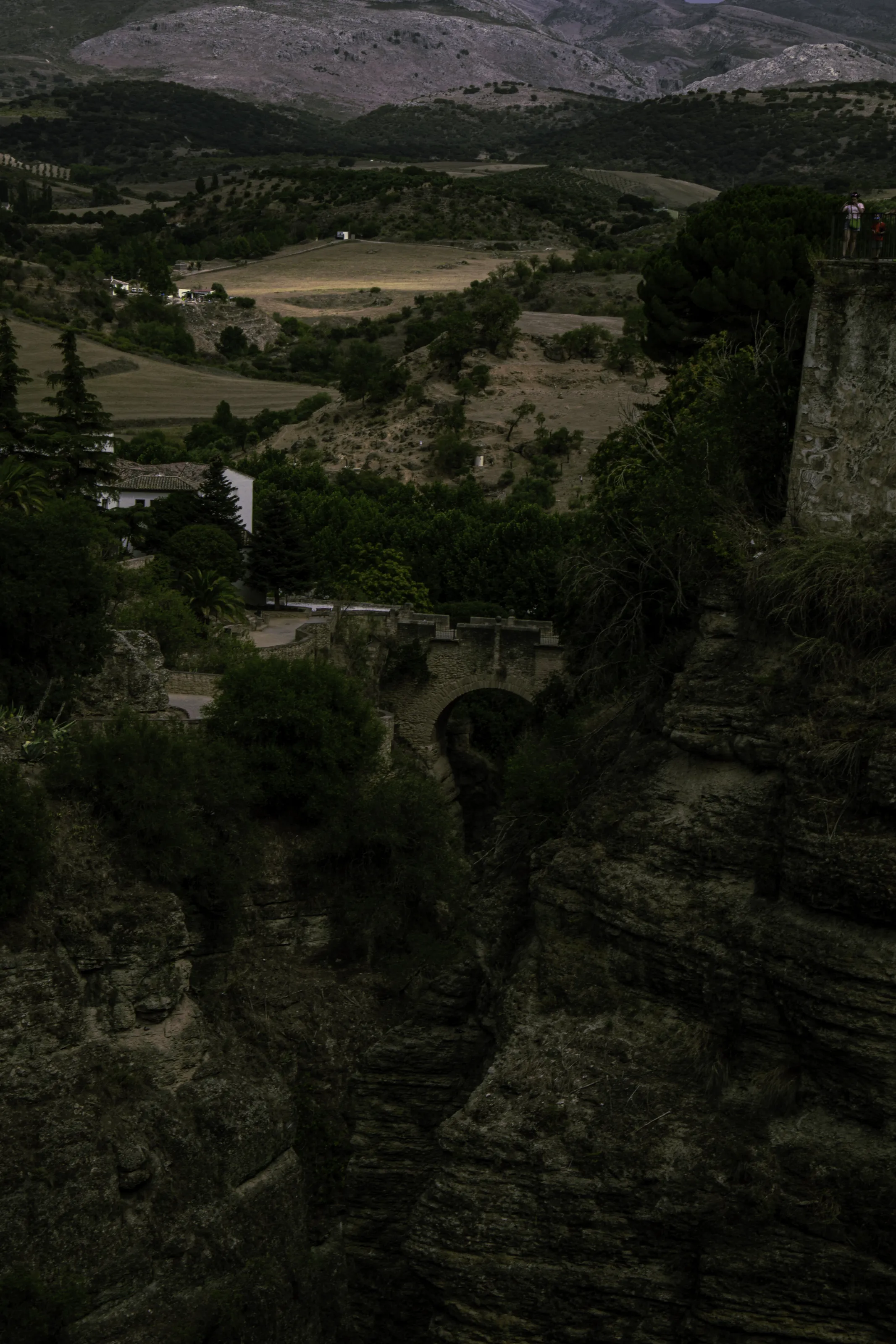 A Dragons Perspective