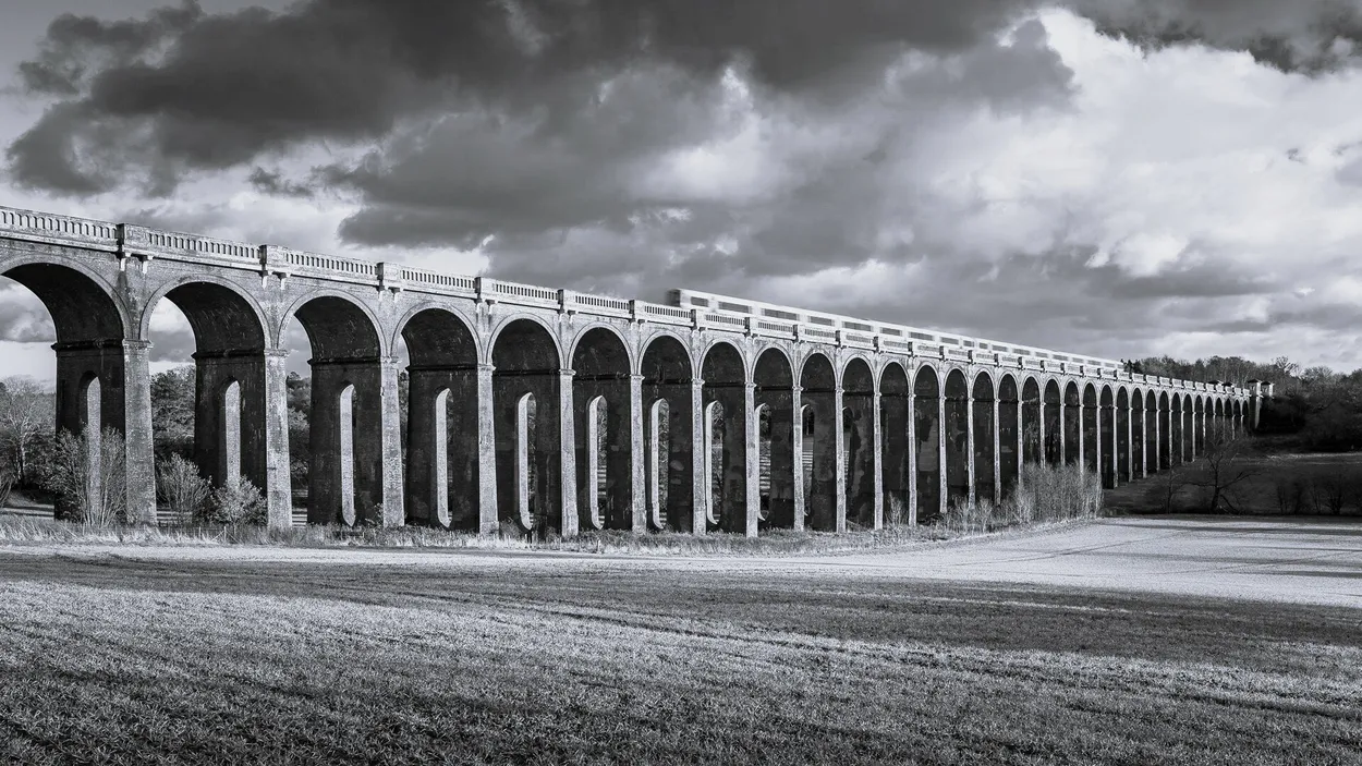 Entry 24548909
