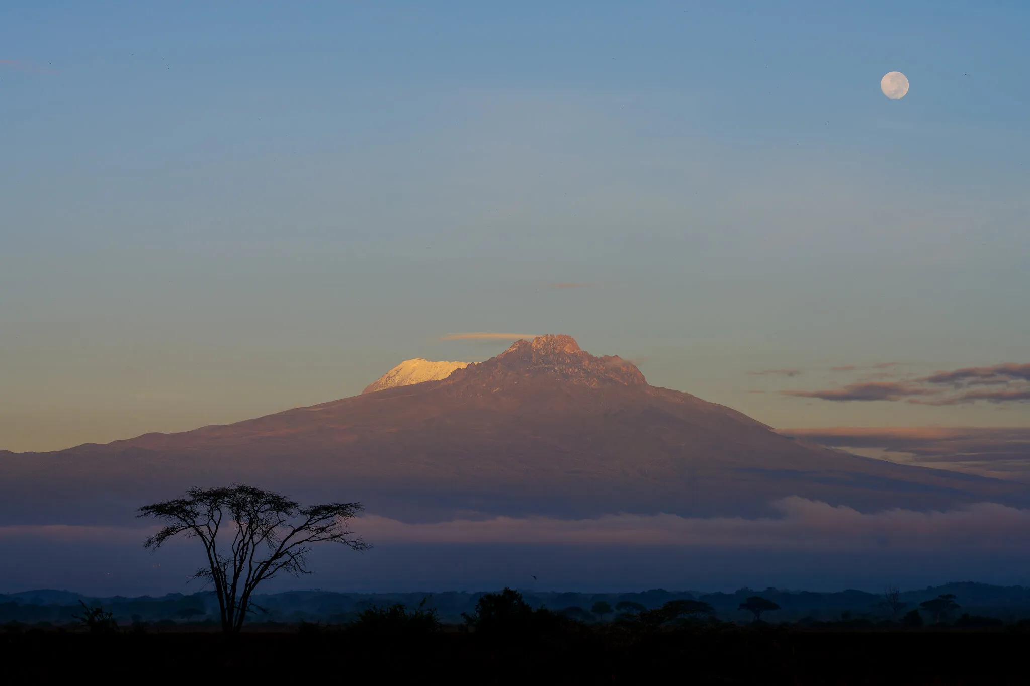 Kilimanjaro at dawn
