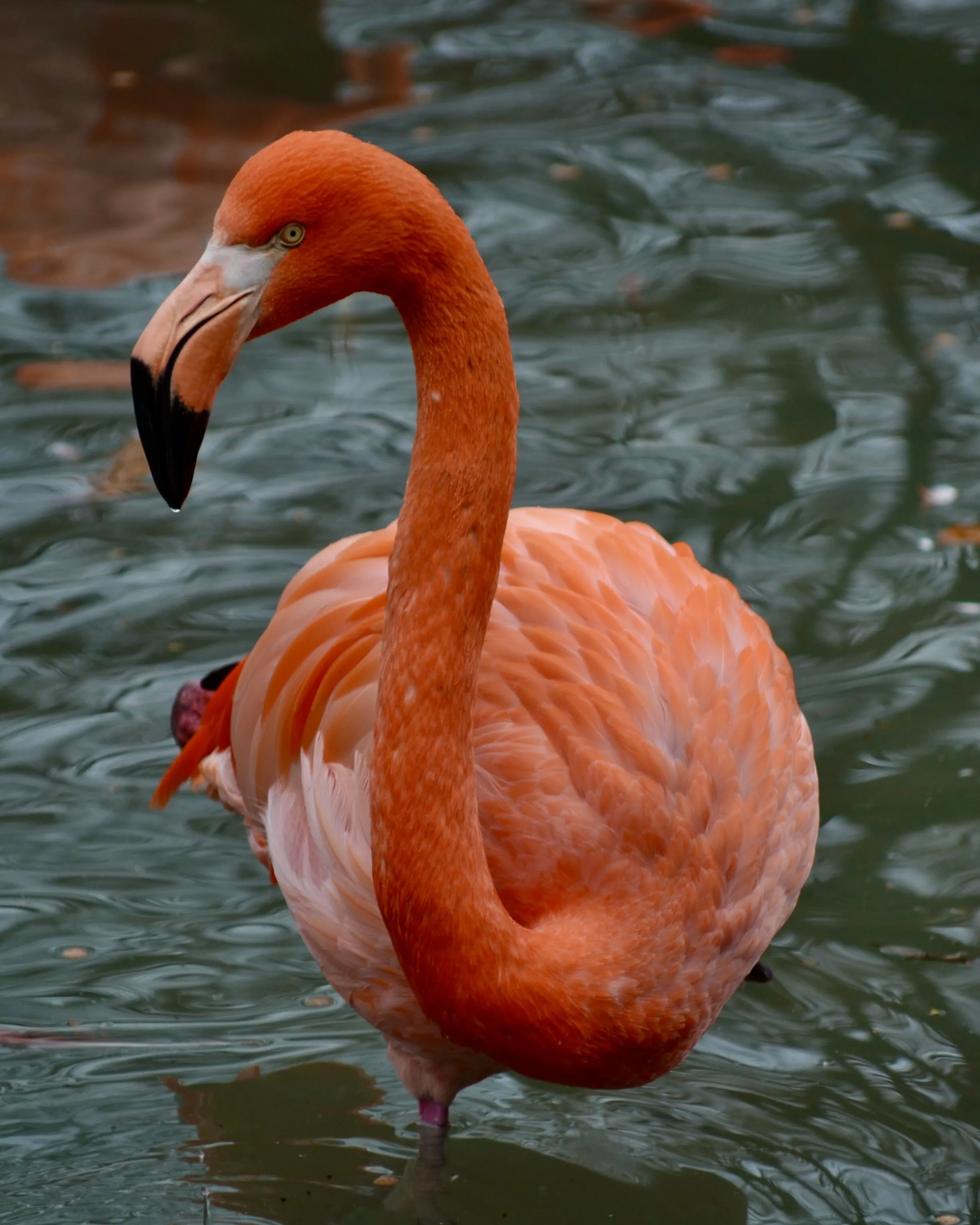 pretty and pink