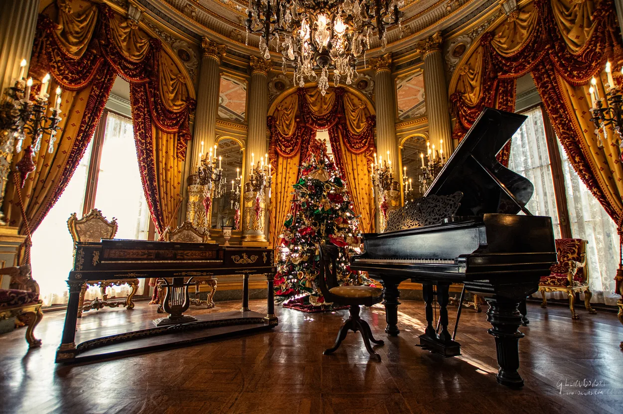 Entry 24852075