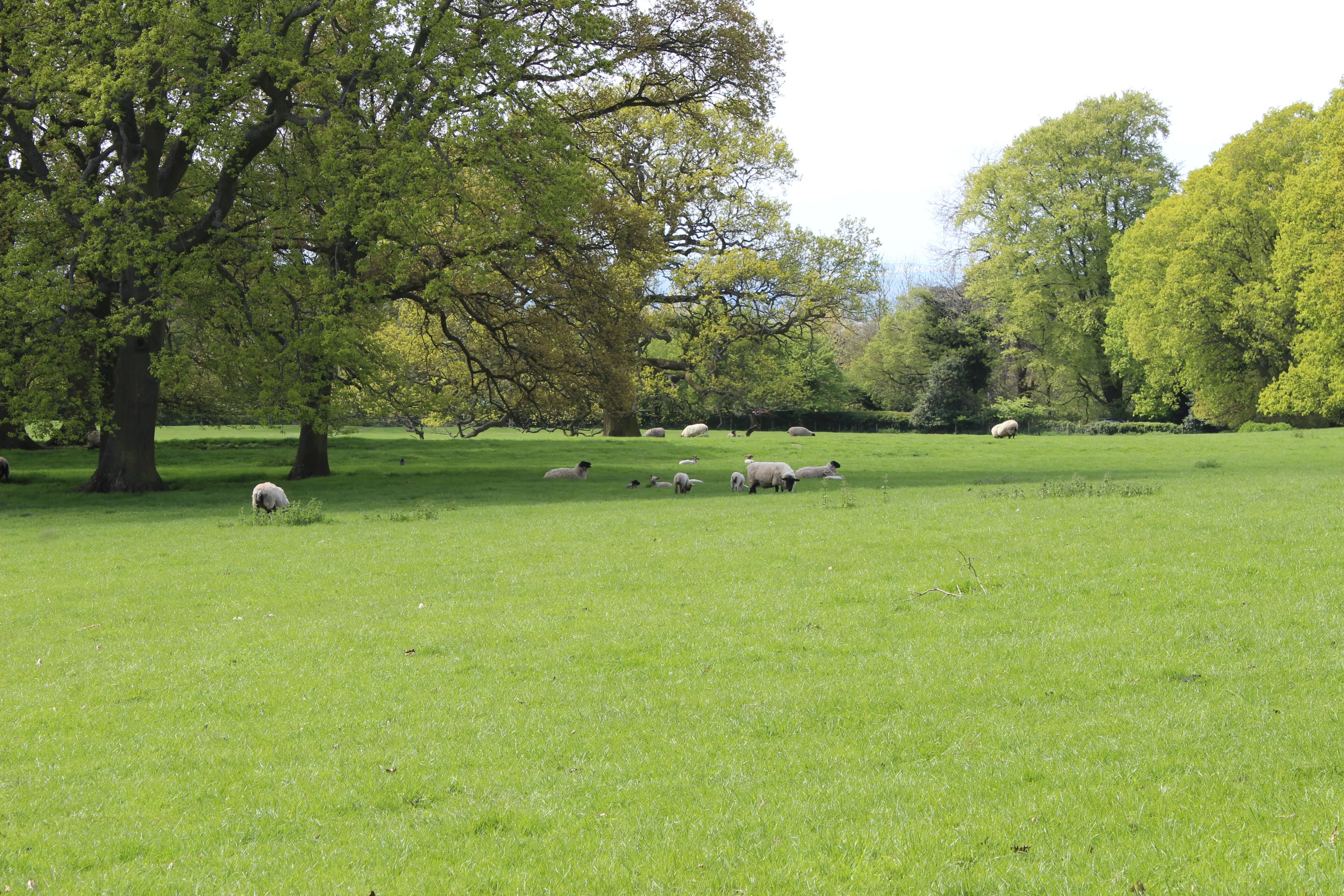 England's Green and Pleasant land