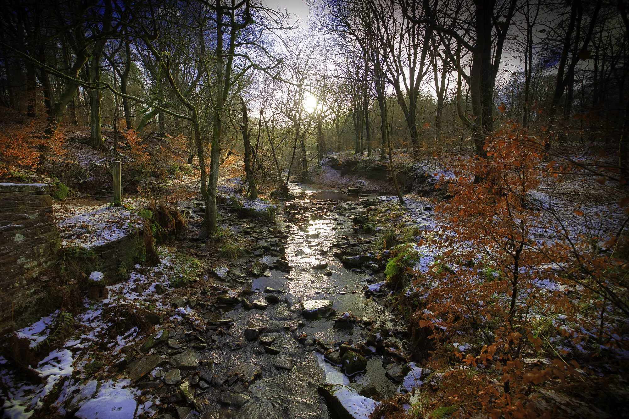 A winter's day