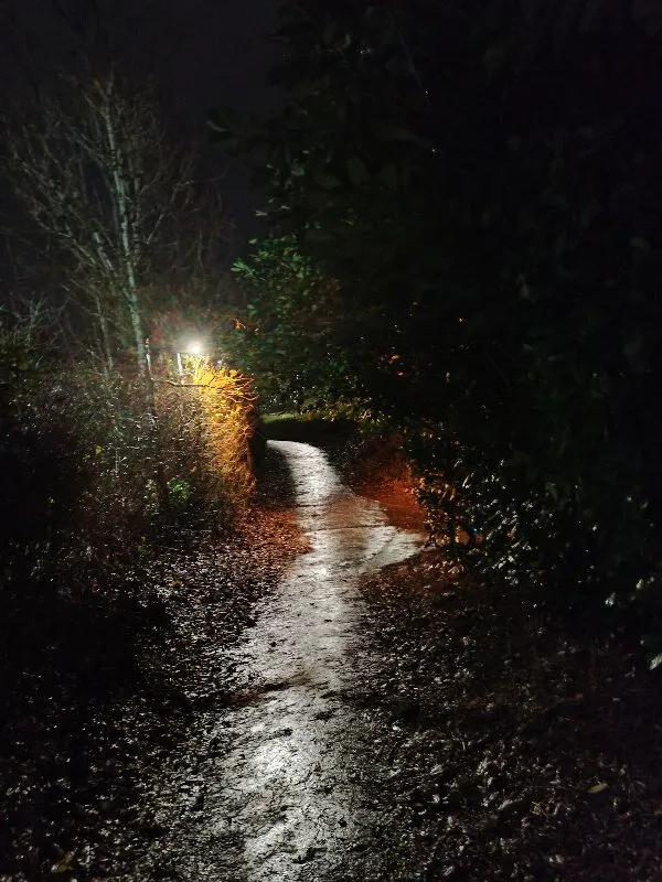 night alley