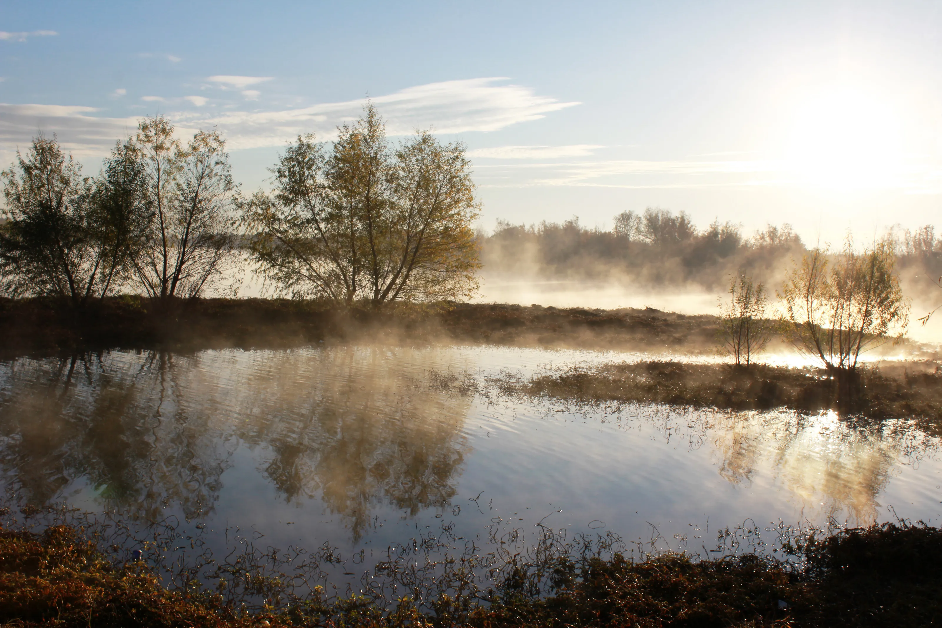 Morning Mist