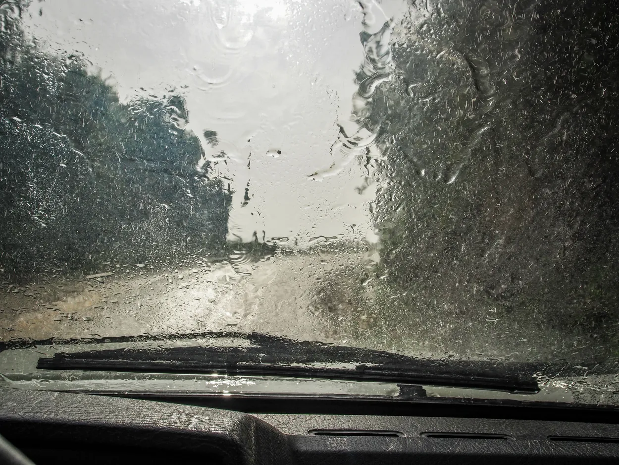 Rainy Day