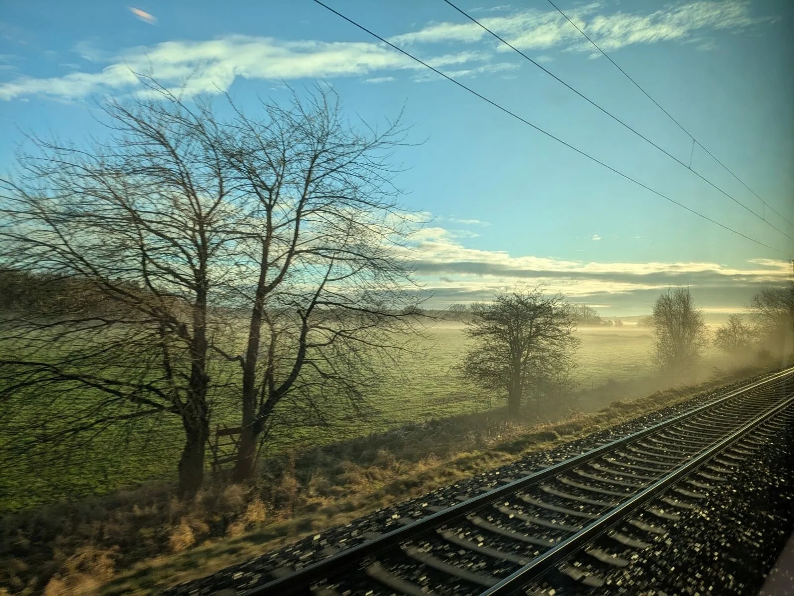 Foggy dawn
